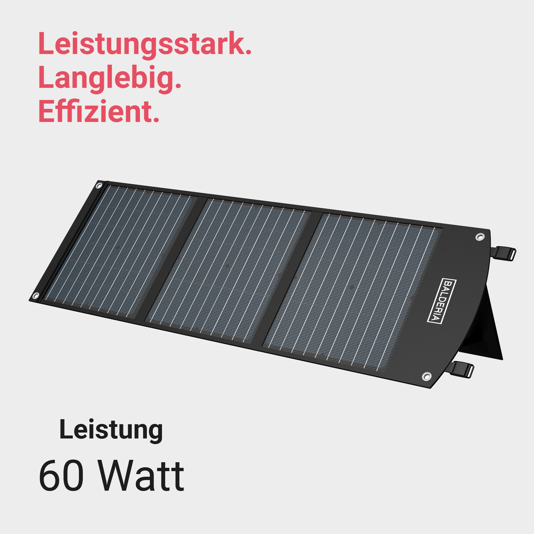 Solarpanel-Illustration: Leistung 60 Watt, Leistungsstark. Langlebig. Effizient. auf hellgrau.