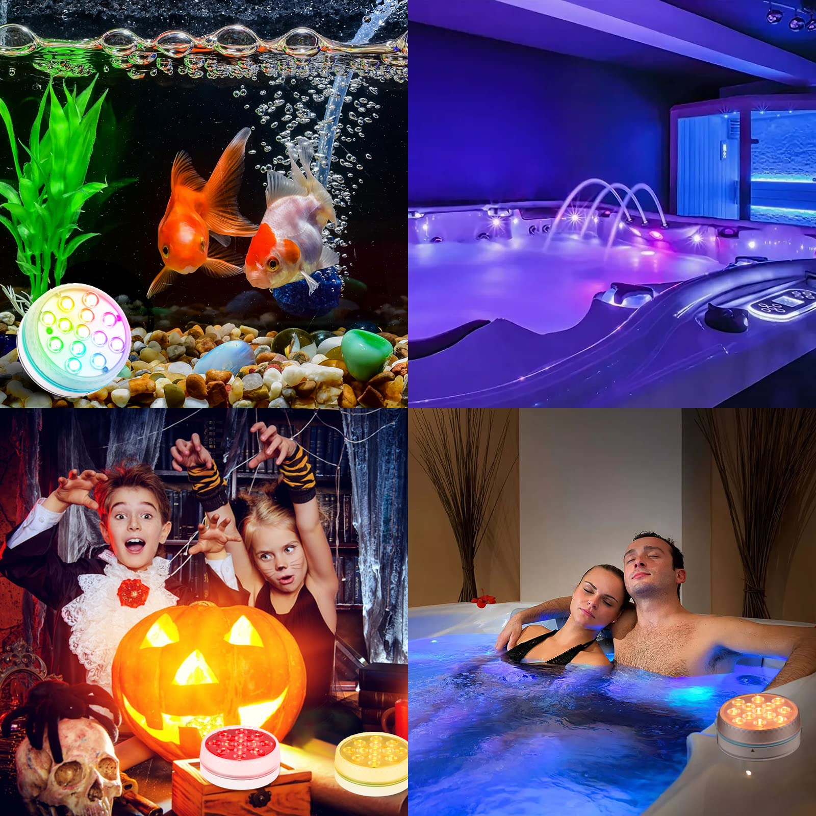 Mehrere Szenen mit Unterwasserlichtern, darunter ein Goldfischbecken, ein Spa und Kinder in Kostümen.