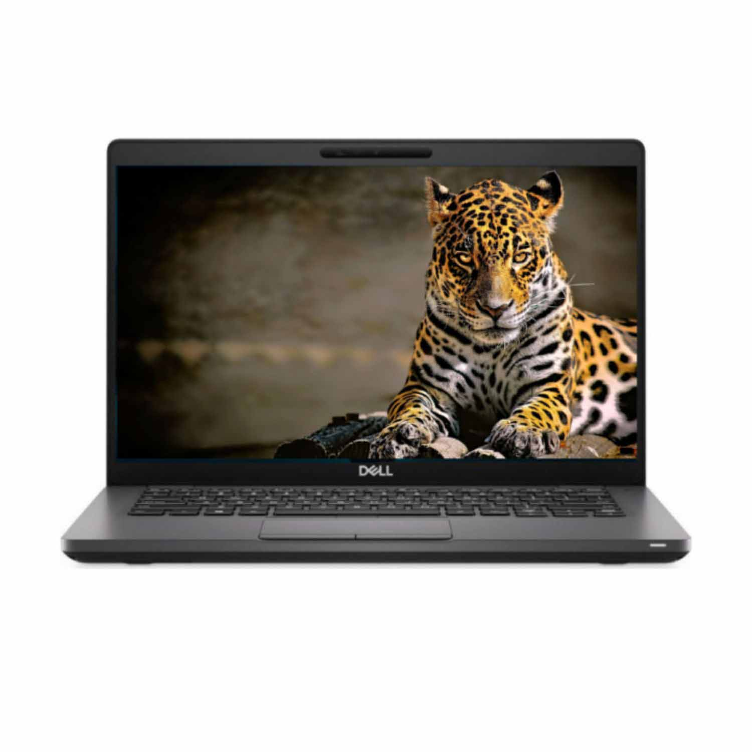 Un portátil Dell muestra un jaguar en su pantalla. El jaguar está tumbado sobre una superficie rocosa, con un fondo borroso.