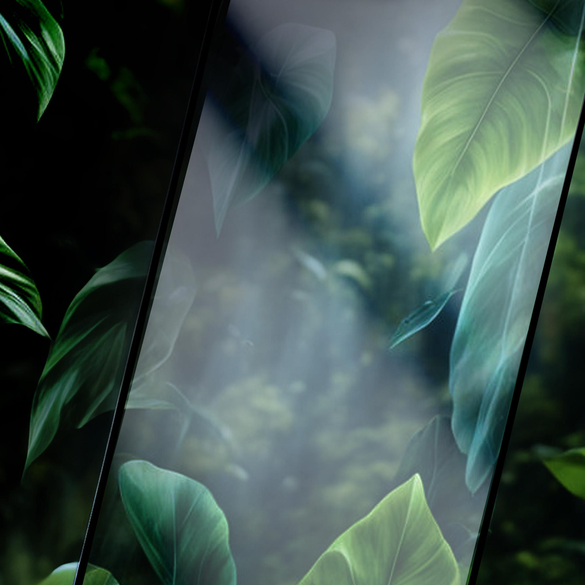 Obraz przedstawia zielone liście, niektóre ostre, a tło rozmyte. Obecna jest przekątna linia.