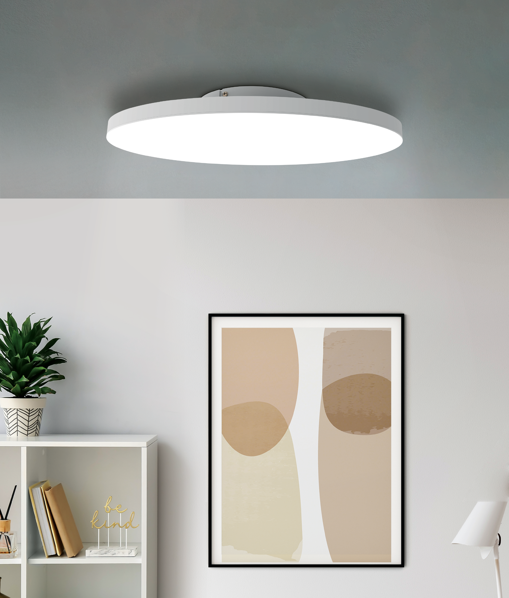 Una stanza con una luce a soffitto, un'opera d'arte astratta incorniciata, una libreria con decorazioni e una pianta in vaso.