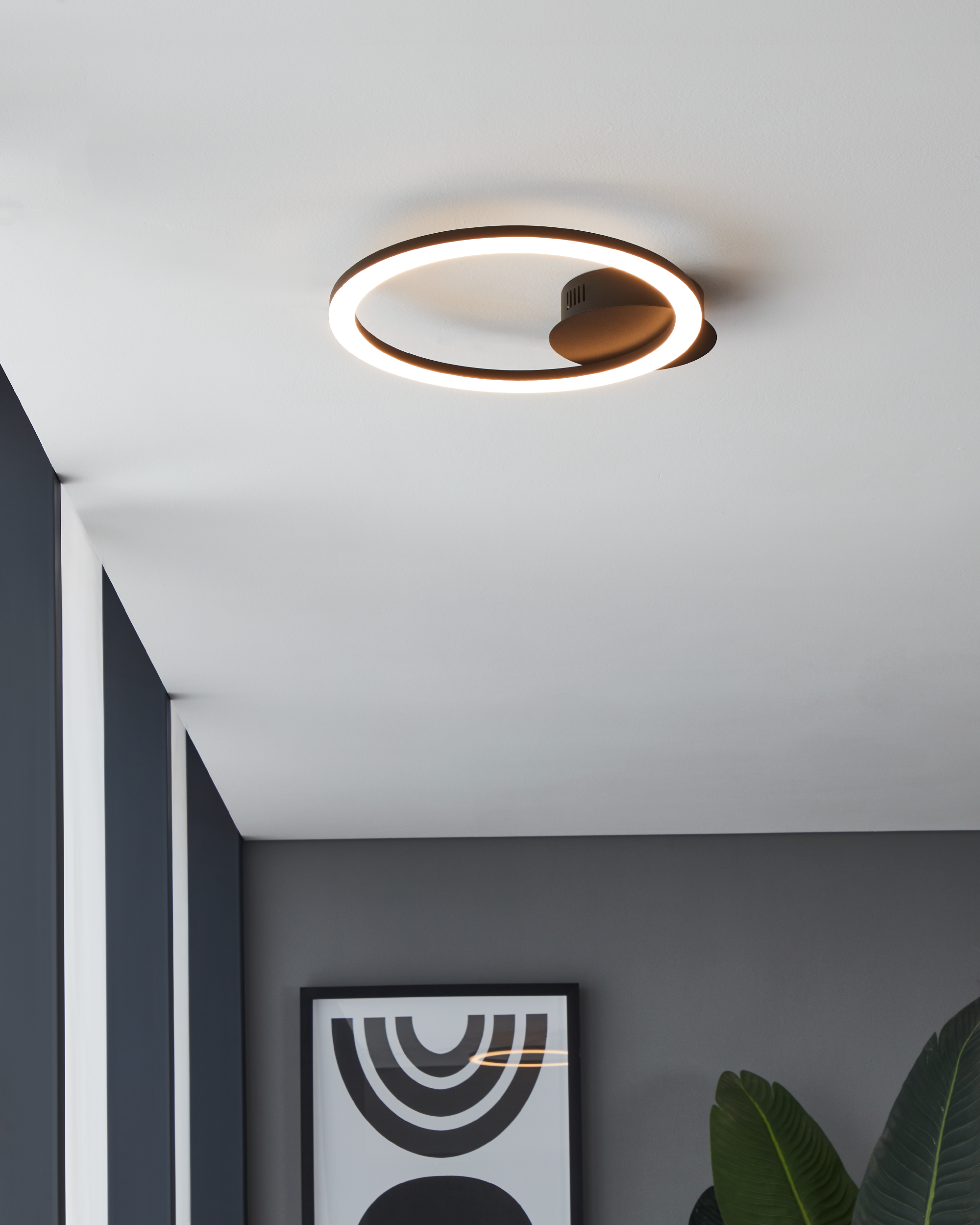 Una lampada da soffitto circolare illumina un soffitto bianco. Sullo sfondo una parete con arte e una pianta.