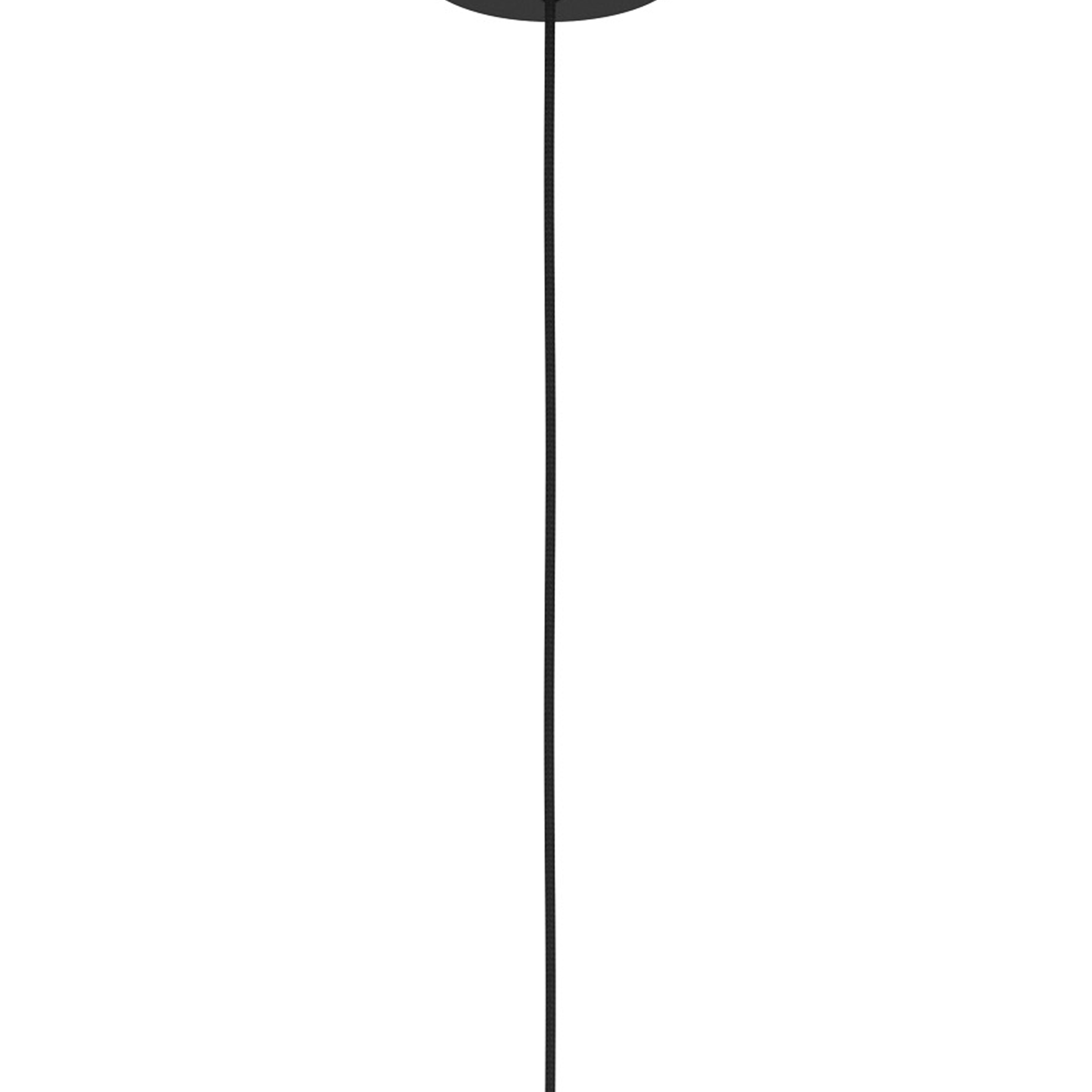 Ein schwarzes Kabel hängt von einer schwarzen Scheibe vor weißem Hintergrund. Das Kabel ist vertikal zentriert.