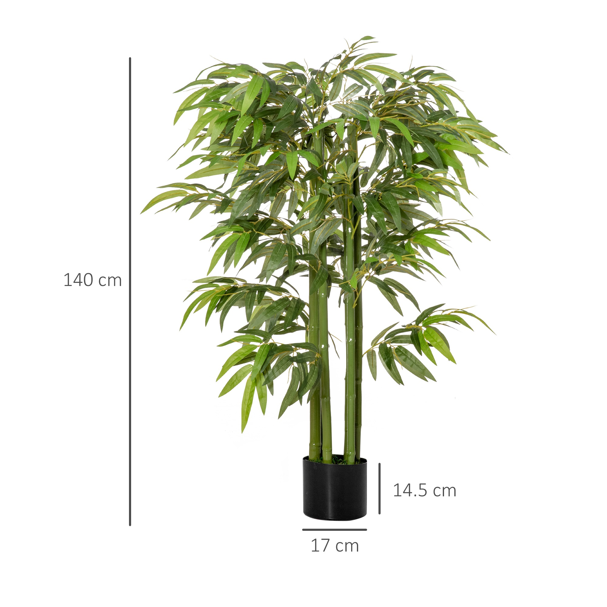Eine hohe Bambuspflanze in einem schwarzen Topf. Maße werden angezeigt: 140 cm hoch, Topf ist 17 cm breit und 14,5 cm tief.