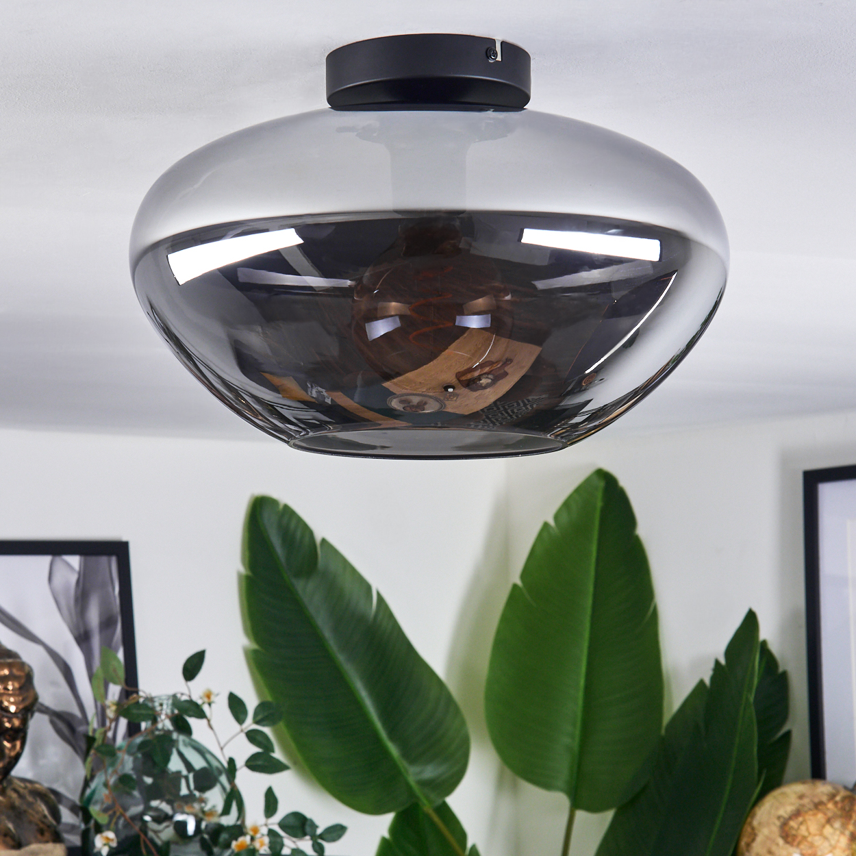 Eine runde, schwarze Deckenlampe mit einem Rauchglasschirm. Die Glühbirne im Inneren spiegelt einen Raum mit Pflanzen wider.