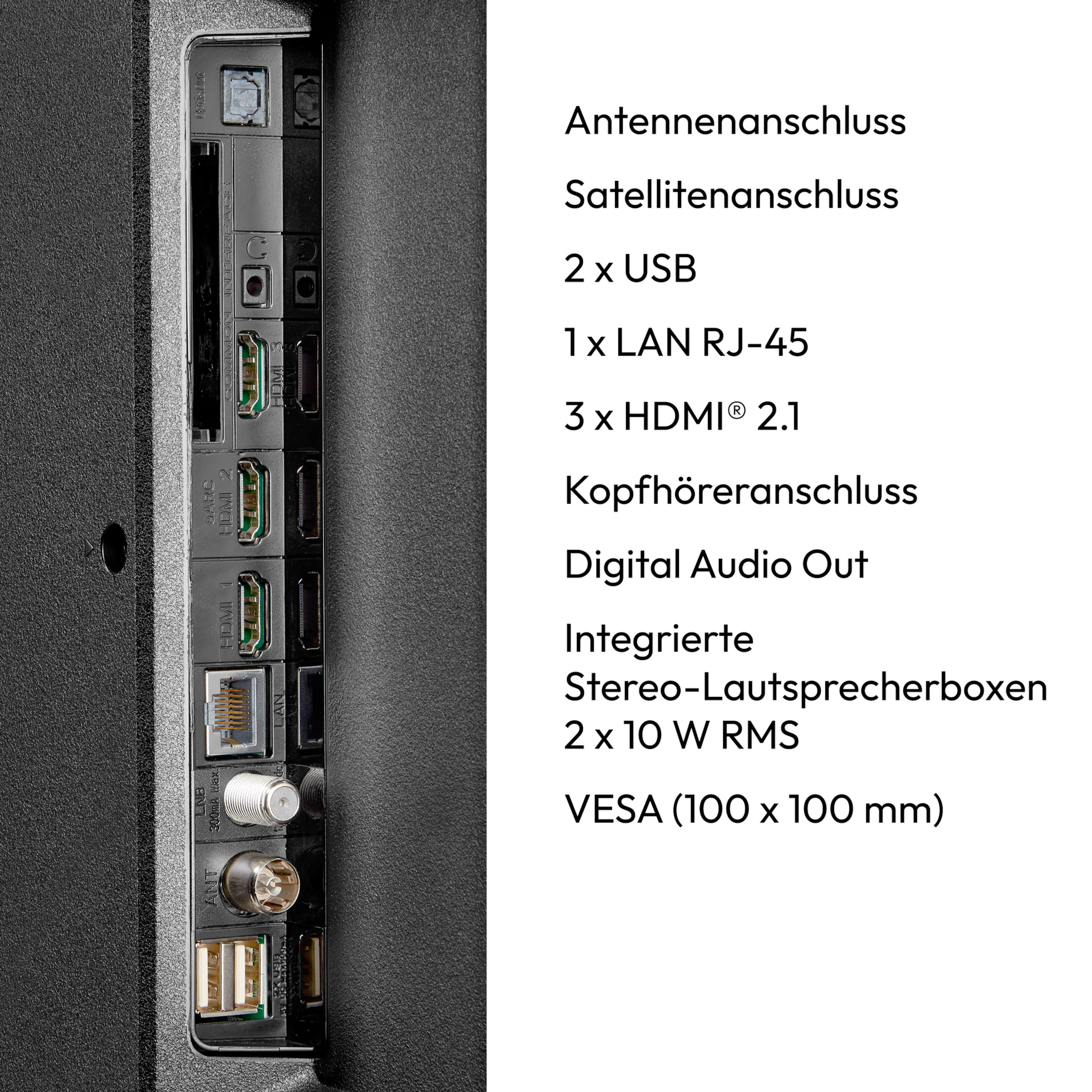 Close-up van tv-poorten en aansluitingen: antenne, satelliet, USB, LAN, HDMI, hoofdtelefoon, audio en VESA-bevestiging.