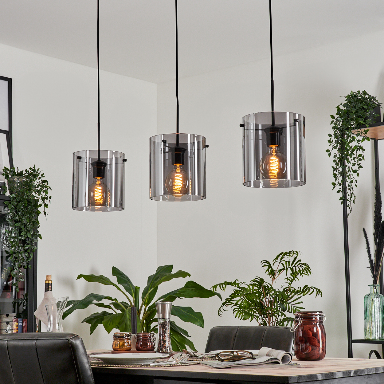 Drei Pendelleuchten mit klaren Glasschirmen und sichtbaren Glühbirnen hängen. Esszimmer mit Pflanzen.