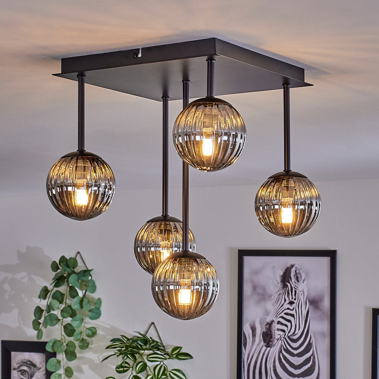 Deckenleuchte mit fünf Glaskugelschirmen mit eingeschaltetem Licht. Zebra-Bild im Hintergrund.