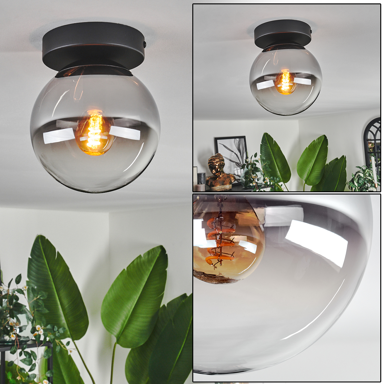 Mehrere Ansichten einer Deckenlampe mit grauem Glaskugel und sichtbarer Glühbirne. Pflanzen und Deko im Hintergrund.