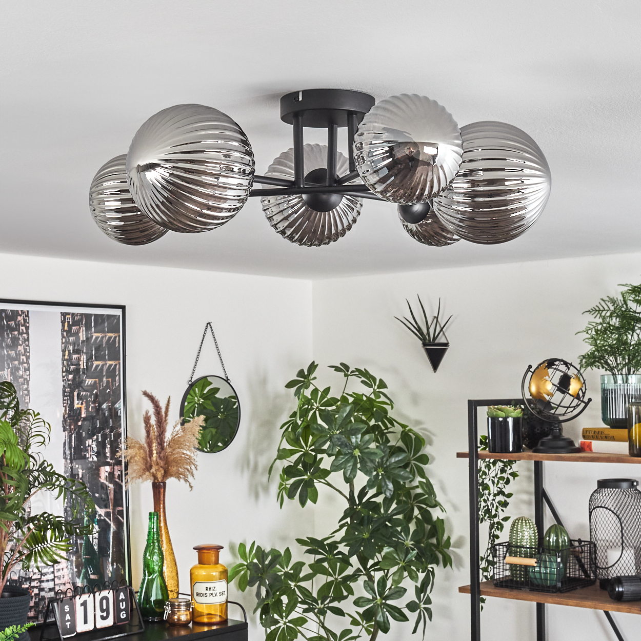 Deckenlampe mit sechs gerippten Glaskugeln. Die Lampe befindet sich in einem Raum mit Pflanzen.