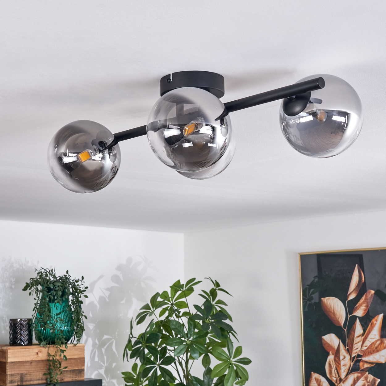 Deckenlampe mit drei Glaskugeln. Schwarzer Rahmen. Grüne Pflanzen im Vorder- und Hintergrund.