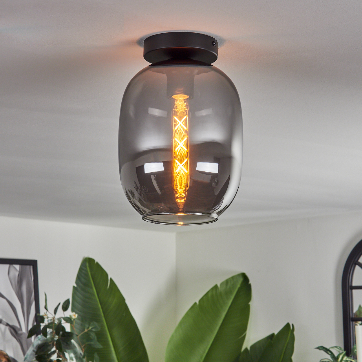 Die Deckenlampe hat einen grauen Glasschirm und eine Glühbirne. Grüne Blätter sind im Vordergrund.