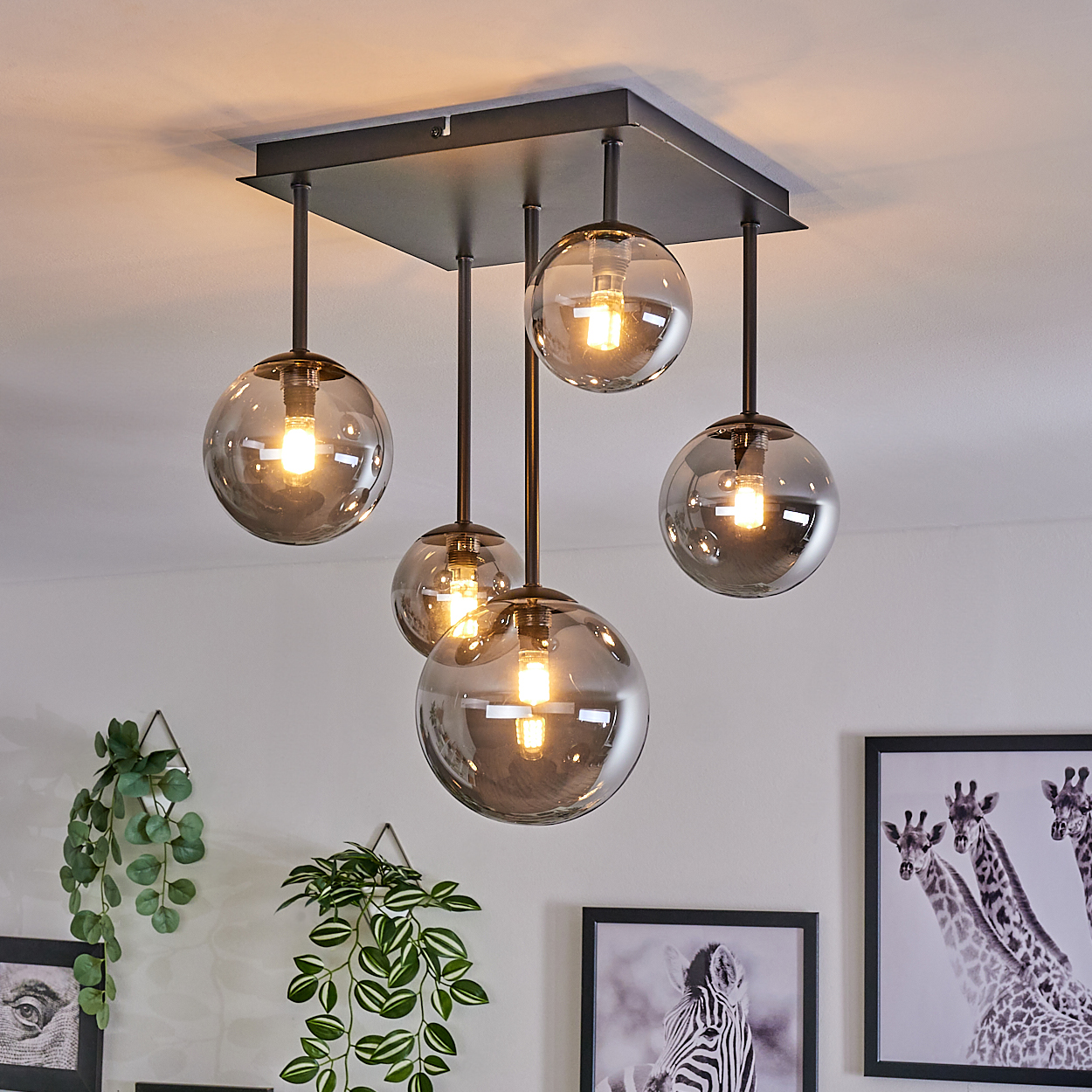 Deckenlampe mit fünf rauchigen Glaskugeln. Innenraum mit Pflanzen, Dekoration und gerahmter Kunst.