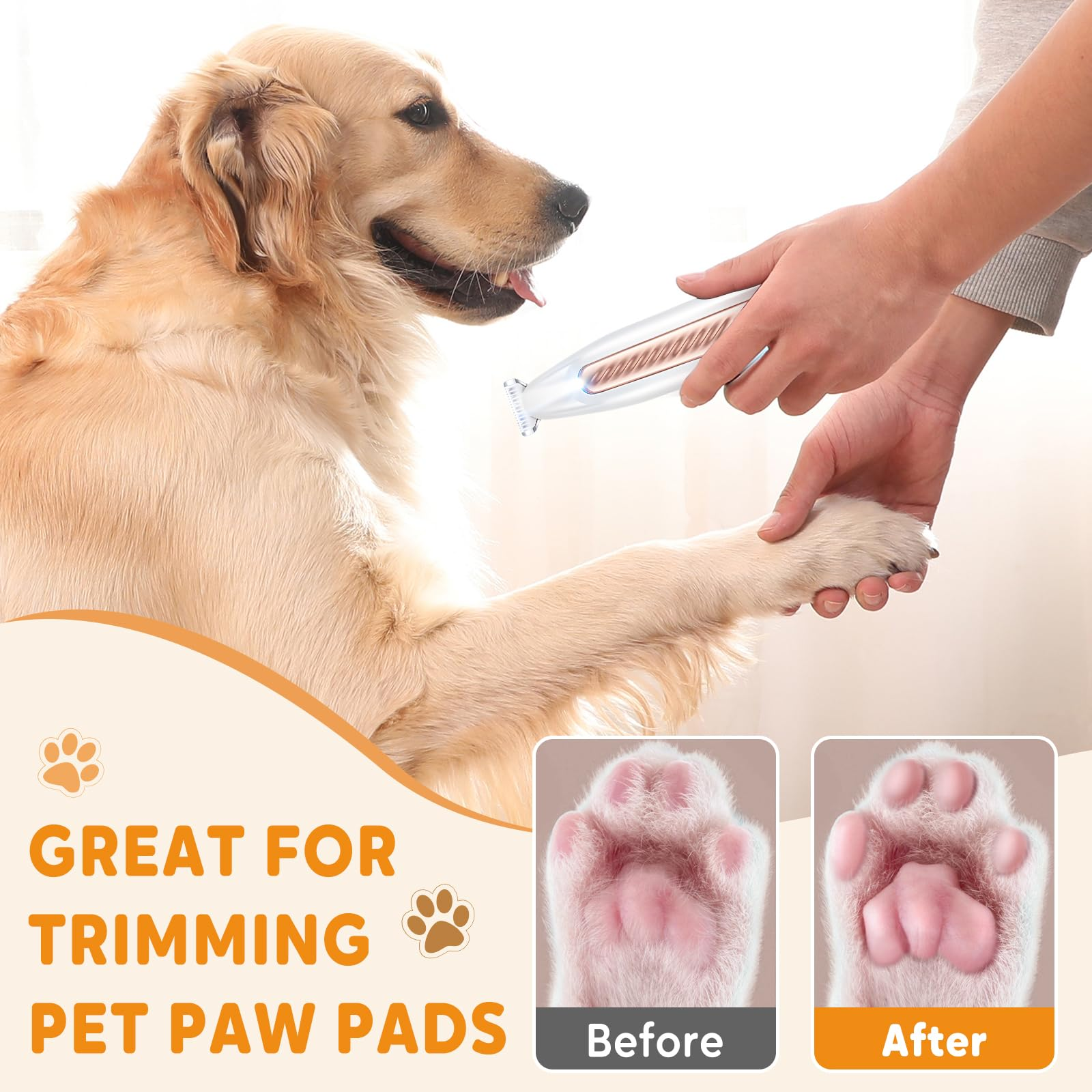 Ein Golden Retriever wird gepflegt, eine Pfote wird getrimmt. Das Bild zeigt Vorher-Nachher-Pflege der Pfoten.