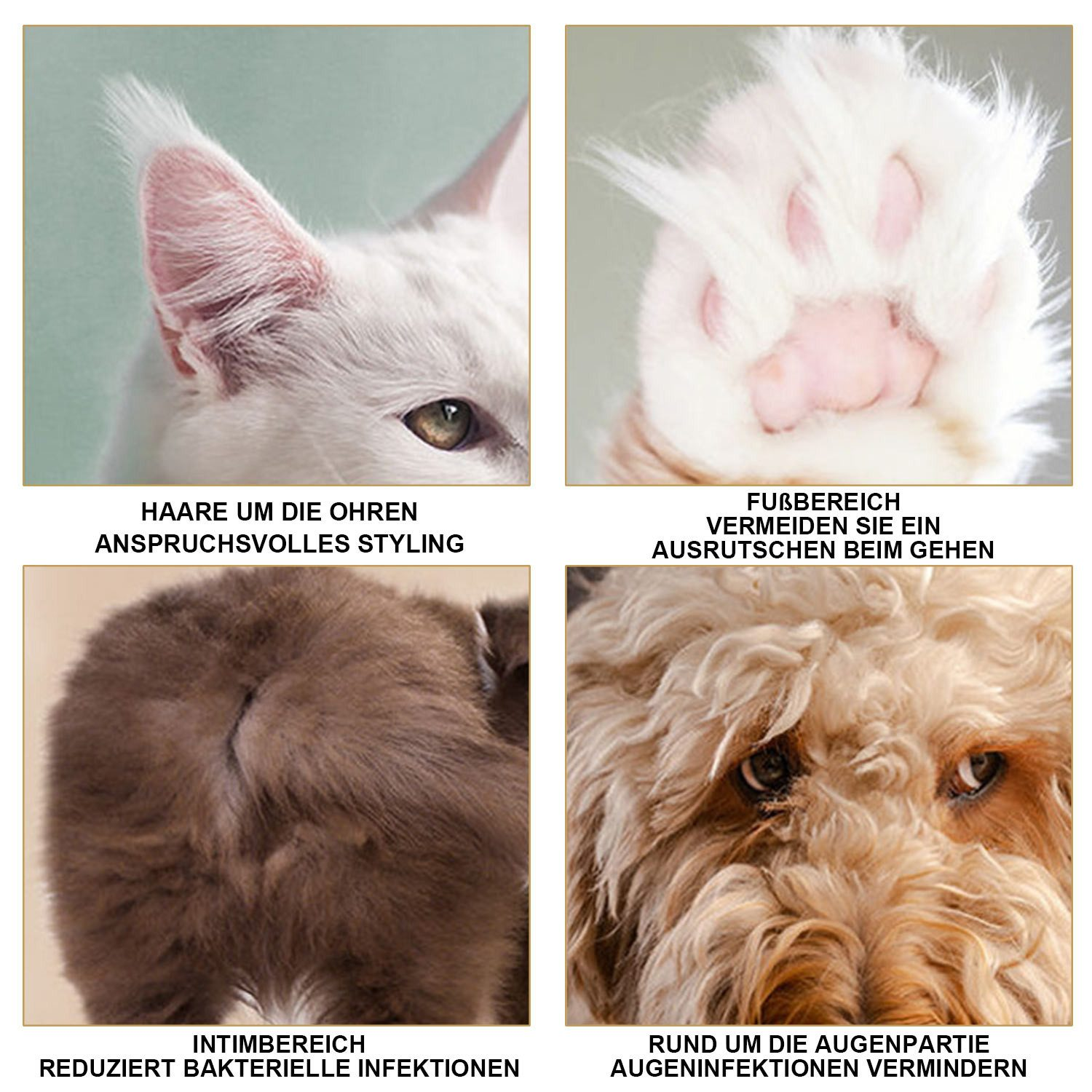 Eine Collage zeigt Pflegebereiche für Haustiere: Ohren, Pfoten, Hinterteil und um die Augen.
