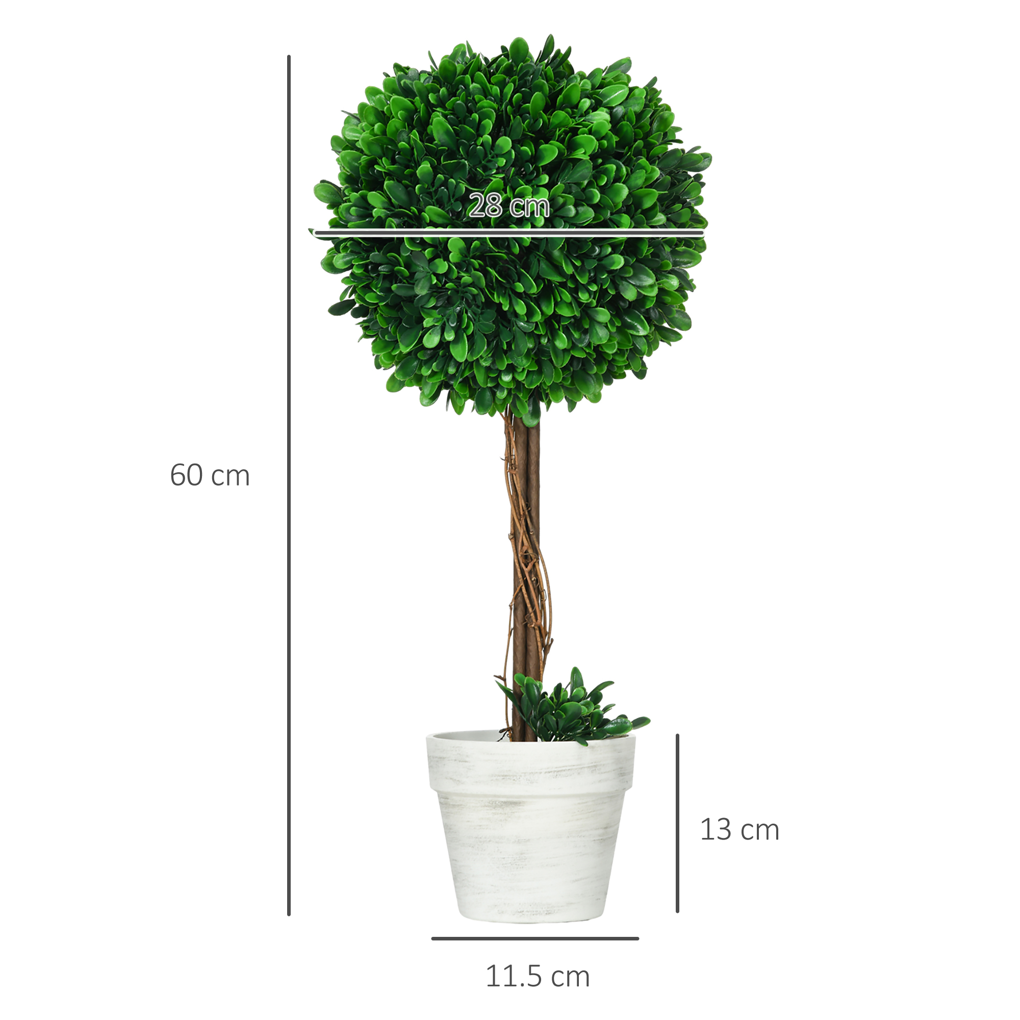 Formschnittbaum in weißem Topf mit Maßangaben: 60 cm Höhe, 28 cm Breite, 13 cm Topfhöhe.