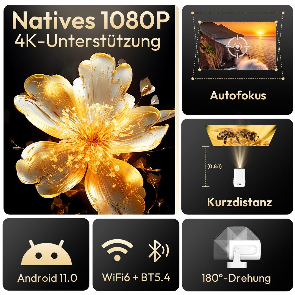 Ein Werbebild mit Text und Symbolen über einen Projektor. Es enthält Bilder einer Blume und eines Strandes.