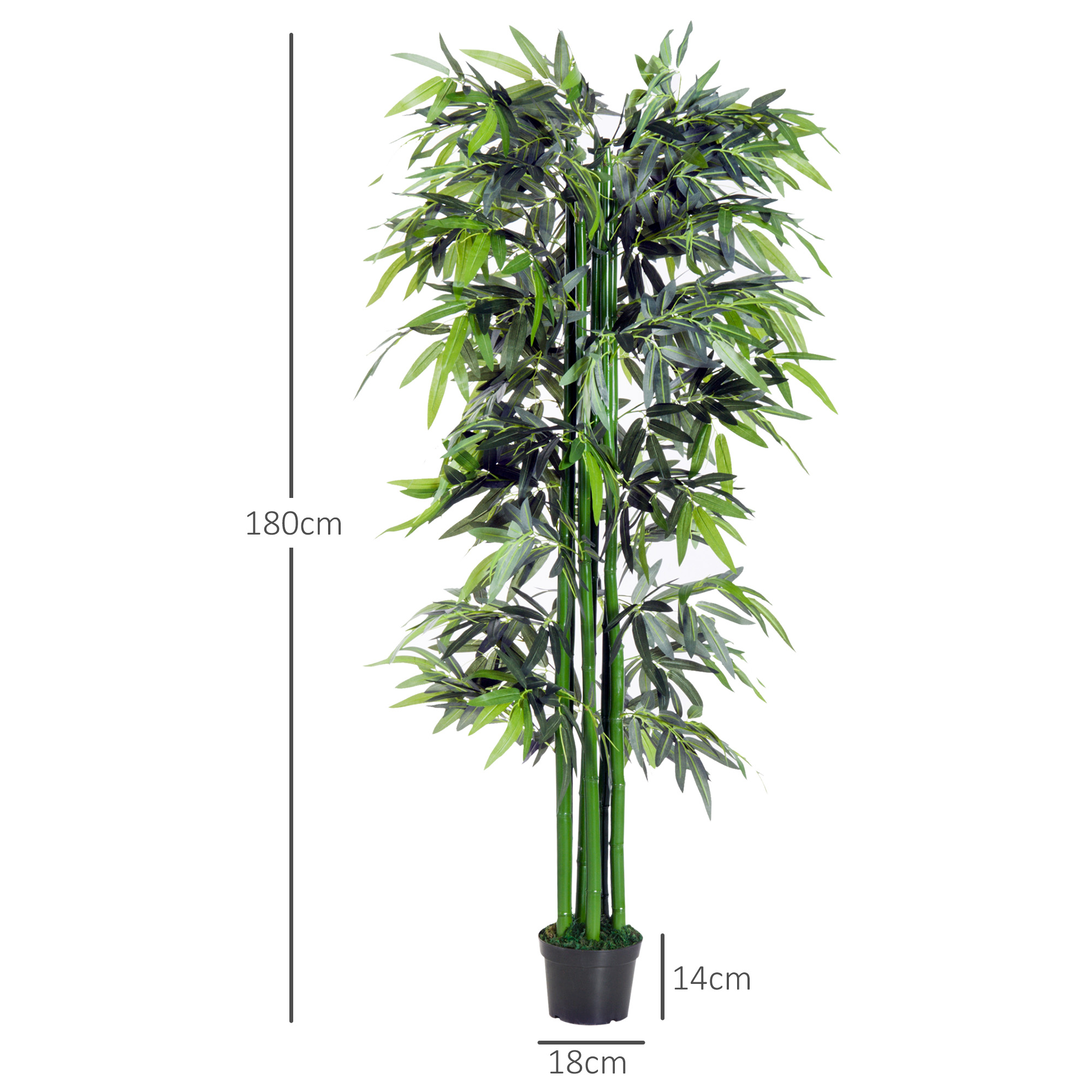 Eine hohe Bambuspflanze in einem schwarzen Topf. Die Pflanze ist 180 cm hoch. Der Topf ist 18 cm x 14 cm groß.