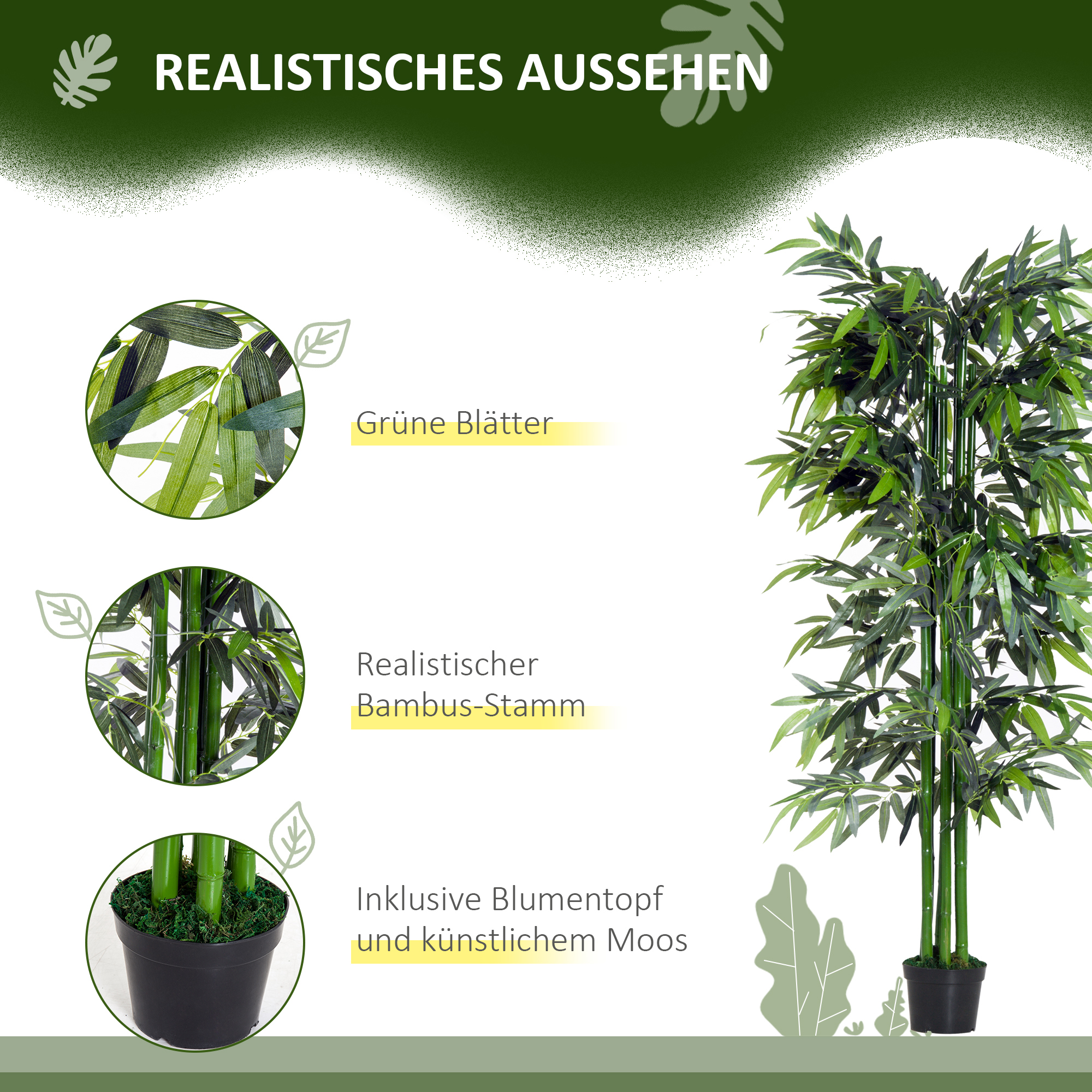 Eine hohe grüne Bambuspflanze in einem schwarzen Topf. Nahaufnahmen zeigen Blätter, Bambusstämme und Moos im Topf.