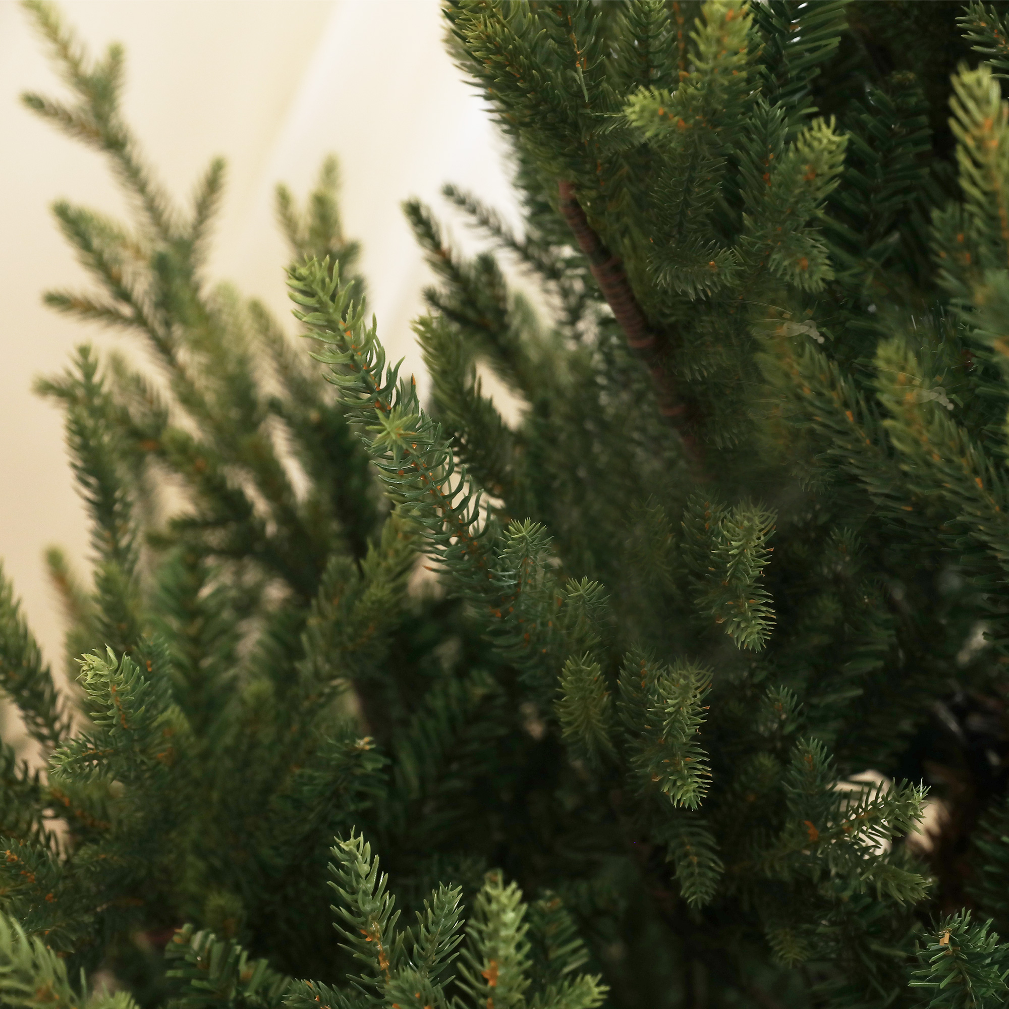 Nahaufnahme der Nadeln eines grünen Weihnachtsbaums, mit Weichzeichnung und hellem Hintergrund.