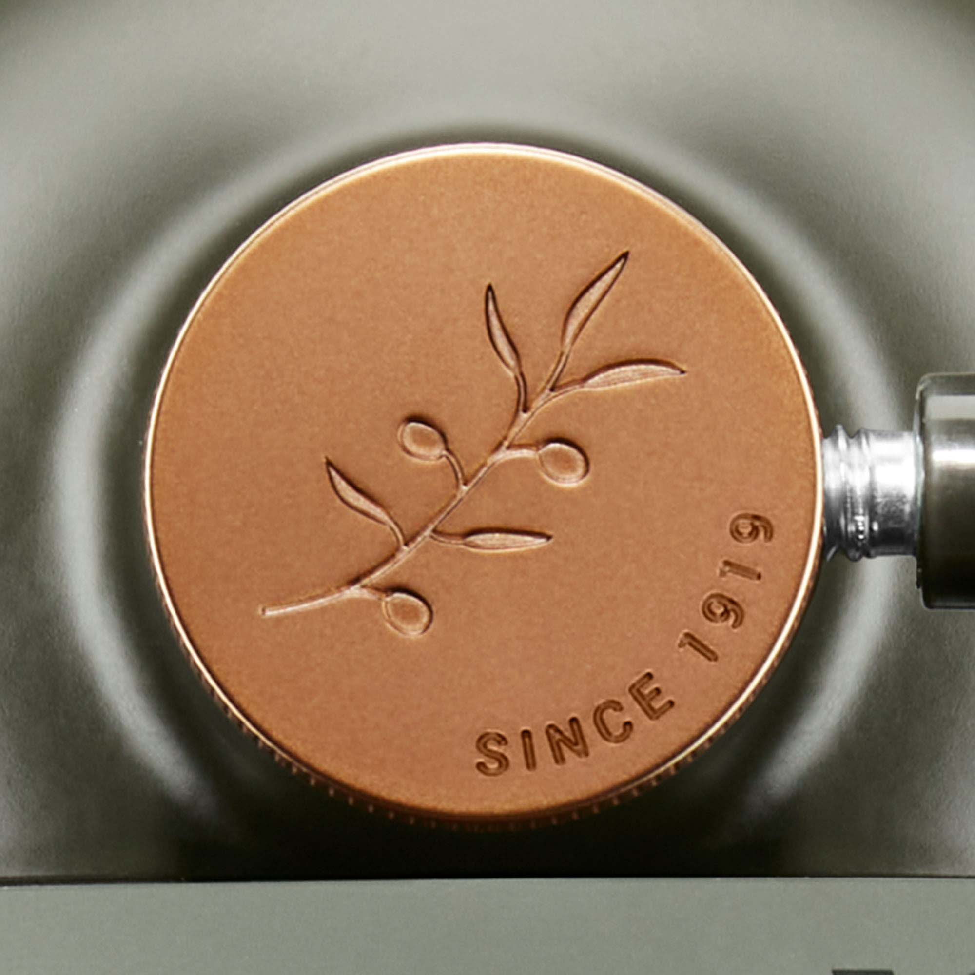 Nahaufnahme eines bronzefarbenen Knopfes an einem grünen Mixer, mit Olivenzweig-Design und dem Text 'SINCE 1919'.