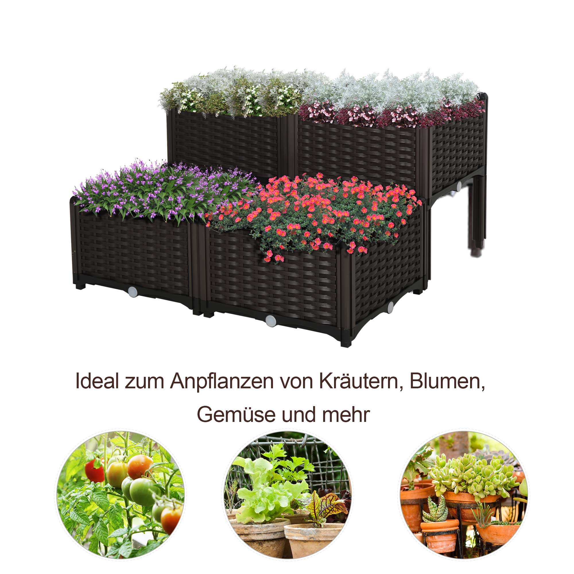 Pflanzkästen mit Blumen. Die Kästen sind braun und in Ebenen. Verschiedene Blumen sind sichtbar.