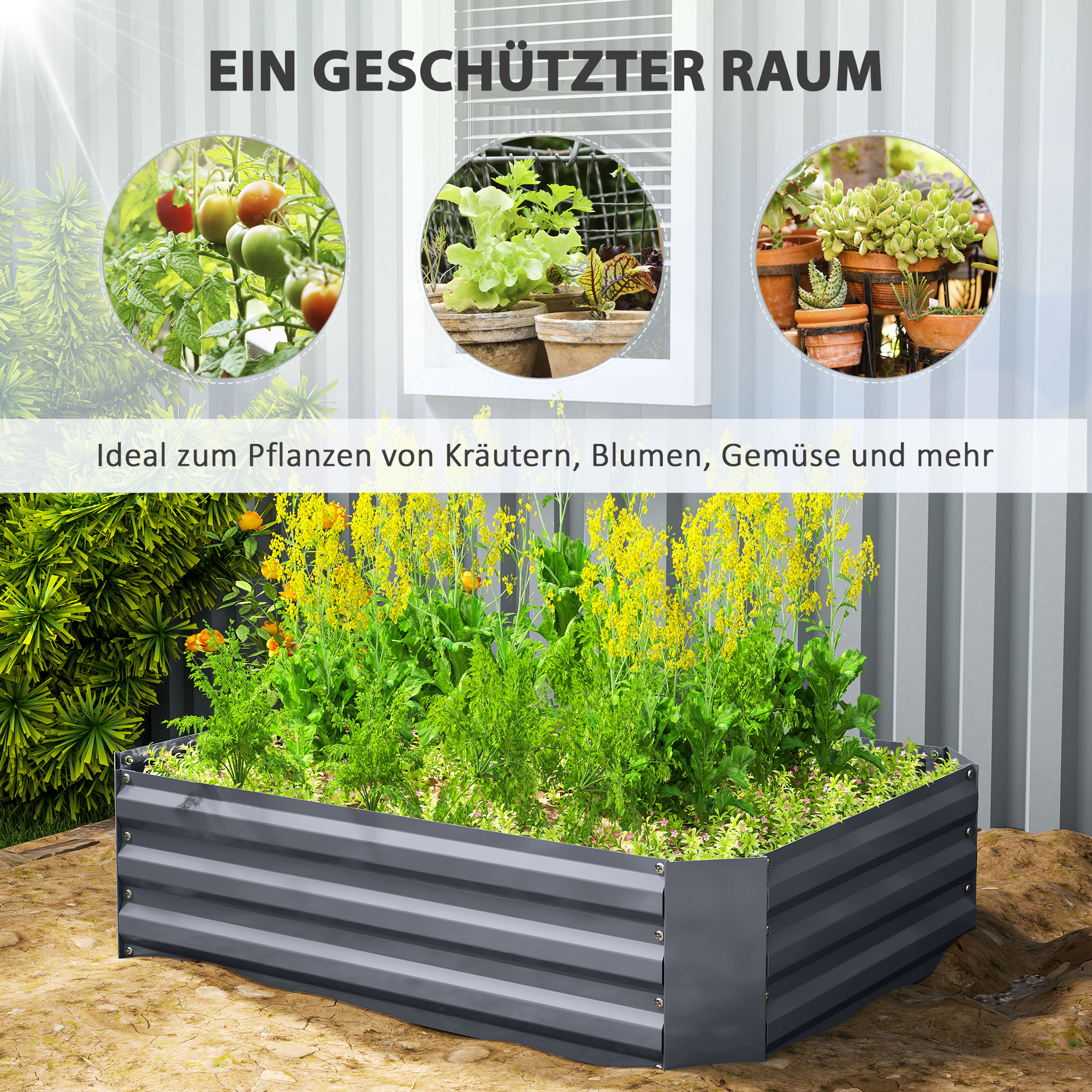 Hochbeet mit Blumen. Fenster mit Pflanzen im Hintergrund. Grau und weißer Hintergrund.