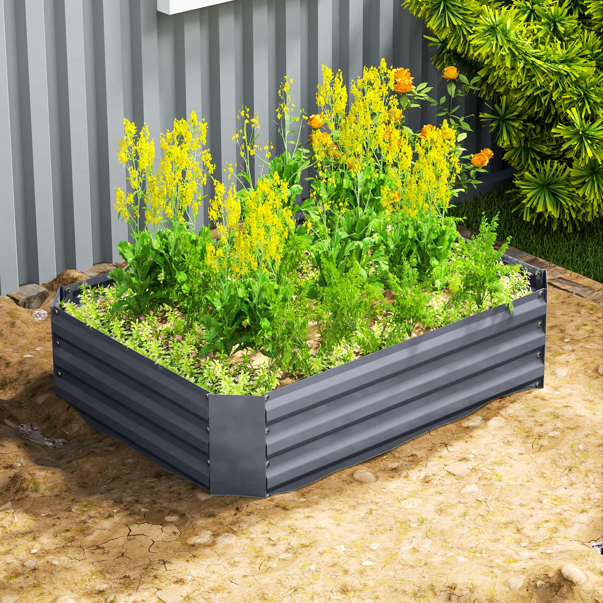 Hochbeet mit gelben Blumen und Pflanzen. Grauer Zaun im Hintergrund.