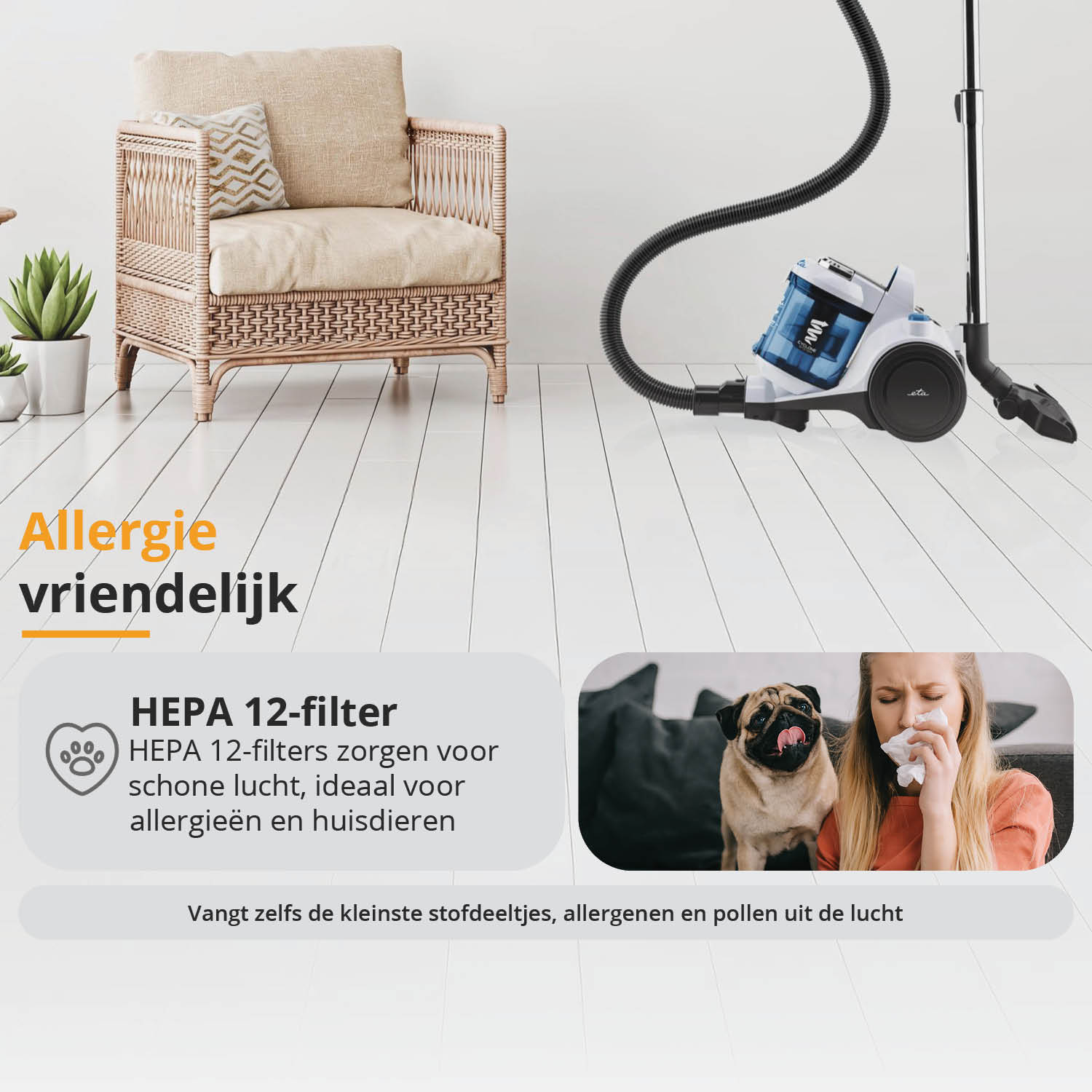 Staubsauger auf dem Boden, eine Person mit Allergien und ein Hund. Der Text beschreibt einen allergenfreundlichen Filter.