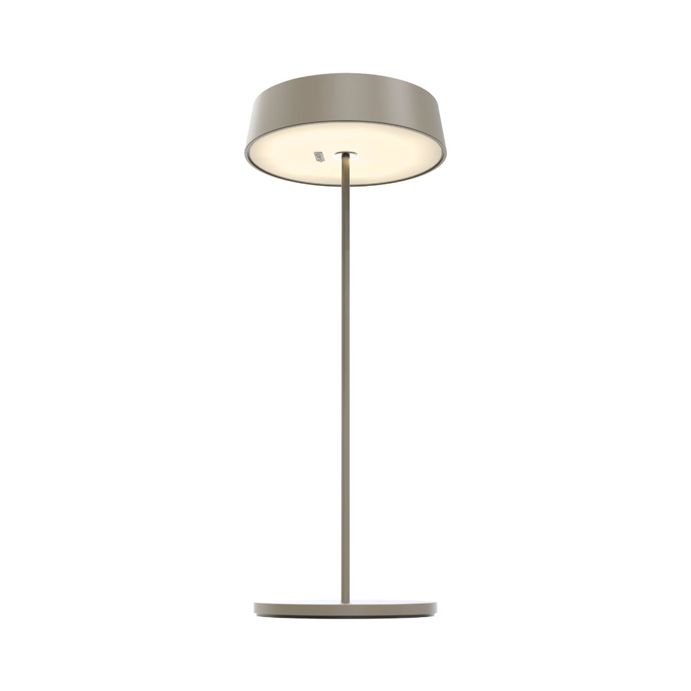 Una lampada da tavolo grigia con stelo lungo, base e paralume rotondi, isolata su bianco.