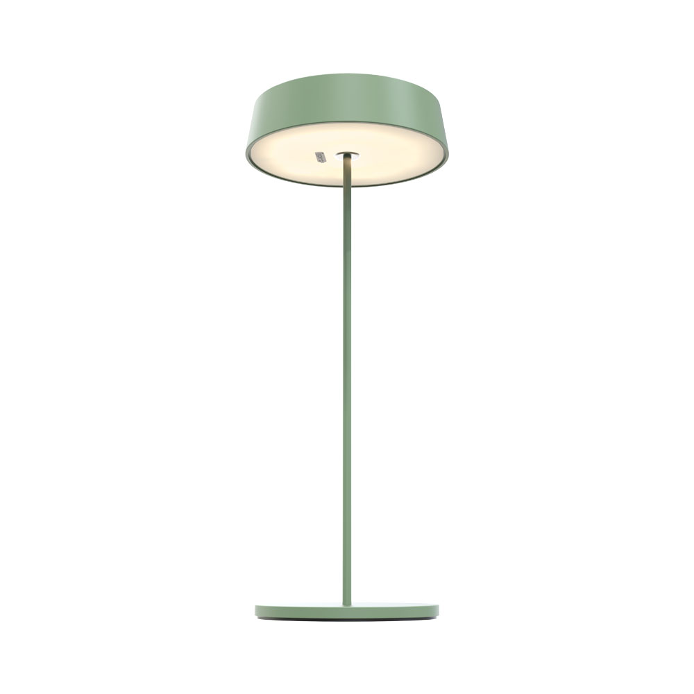 Una lampada verde con paralume rotondo e stelo lungo e sottile su sfondo bianco.