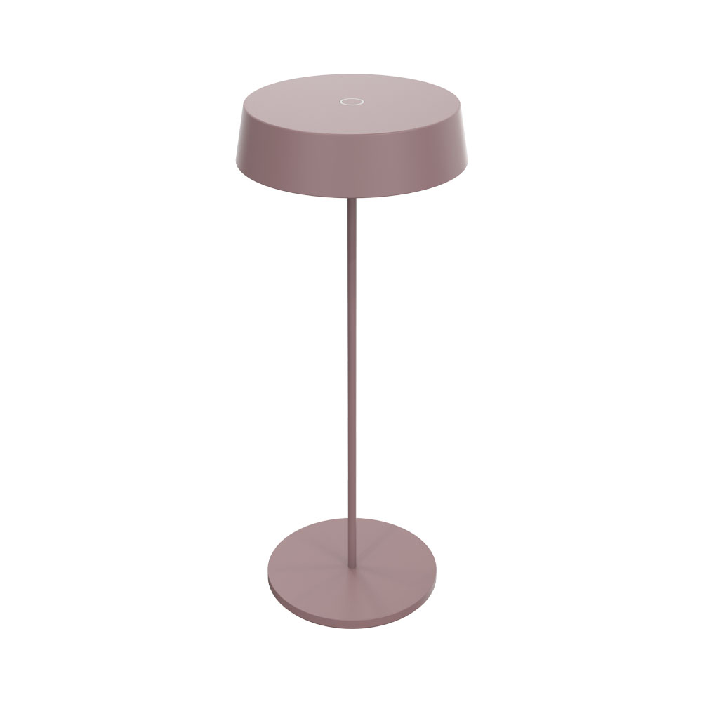Una lampada moderna con base e paralume rotondi, lo stelo è un'asta metallica sottile.