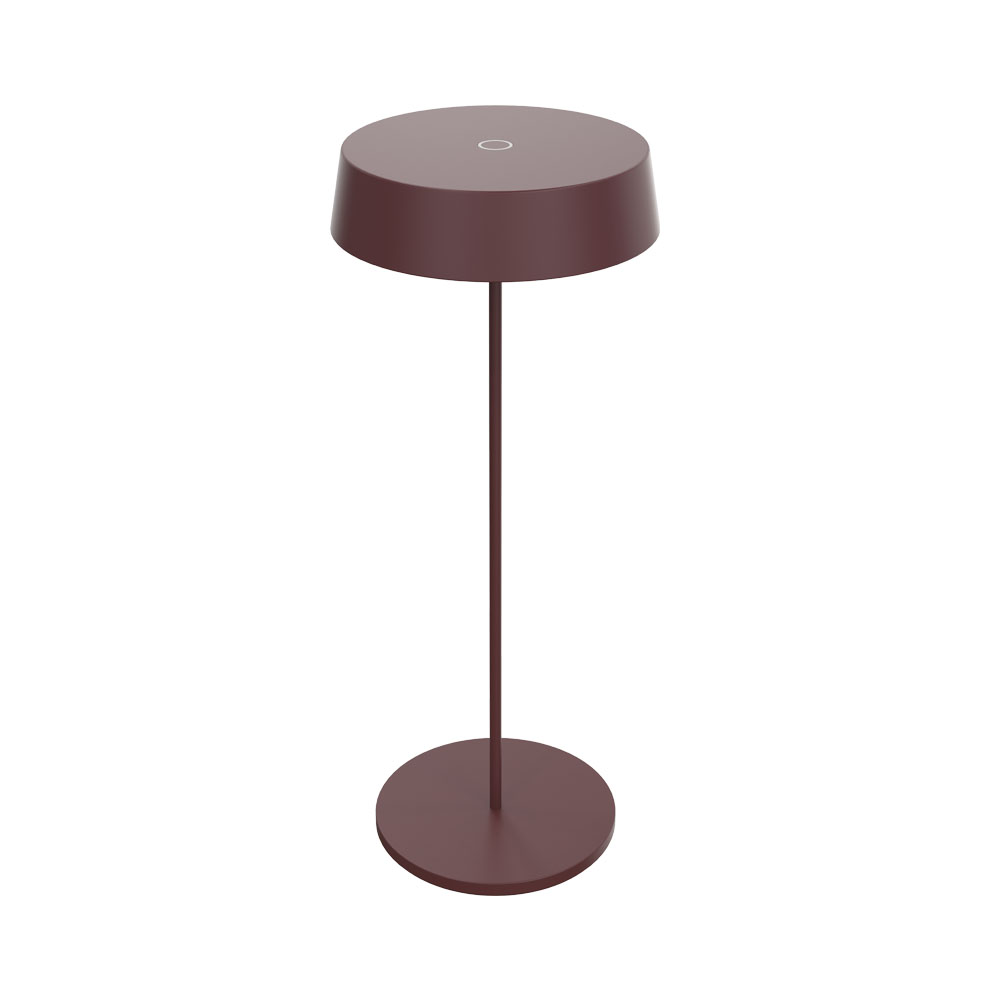Una lampada moderna con base e paralume rotondi, lo stelo è un'asta metallica sottile.