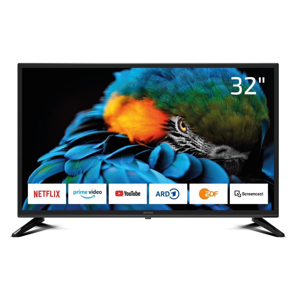 Ein 32-Zoll-Fernseher zeigt ein Papageienbild und Symbole für Netflix, Prime Video, YouTube und andere.