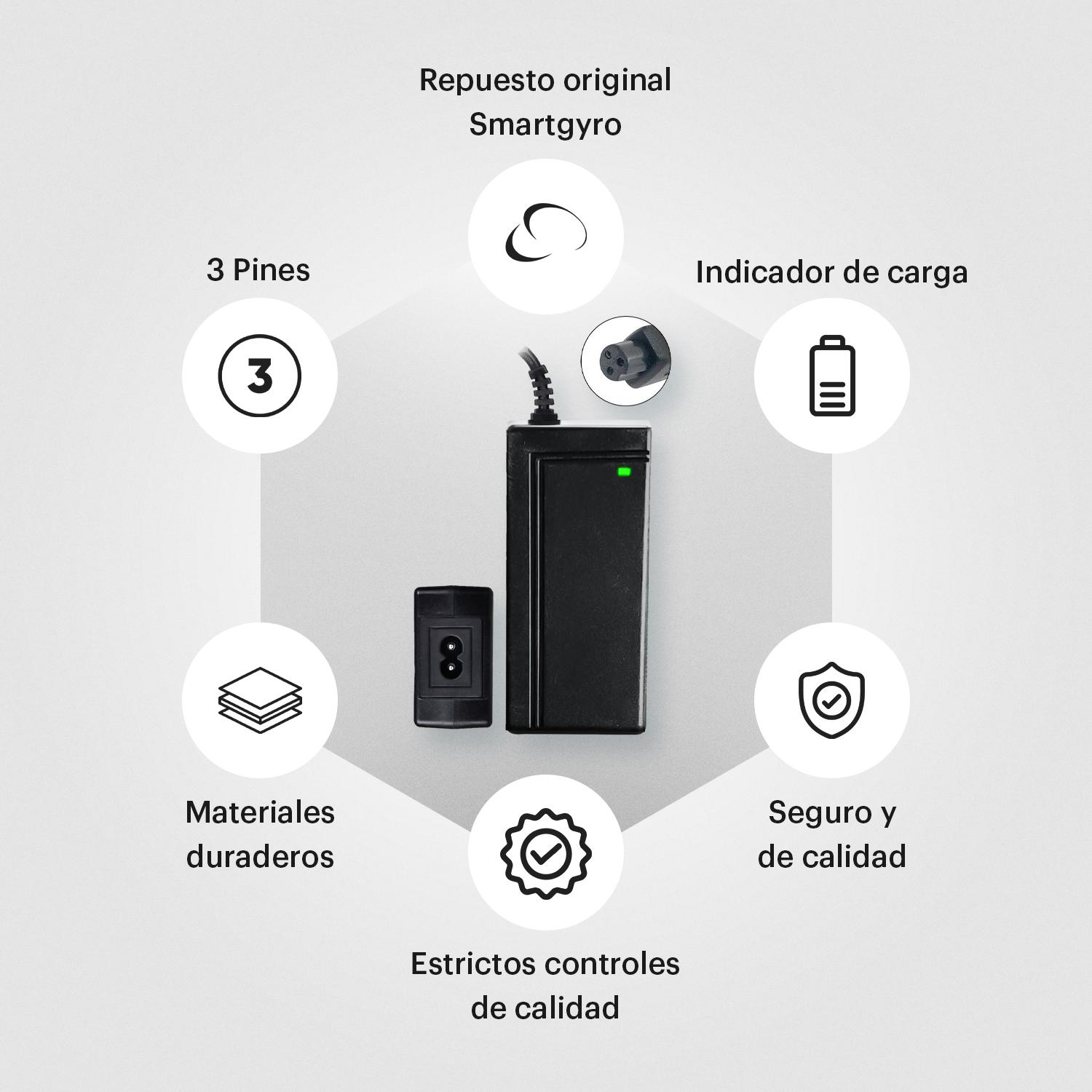 Diagrama de un cargador negro con etiquetas de texto. El cargador es para un scooter.
