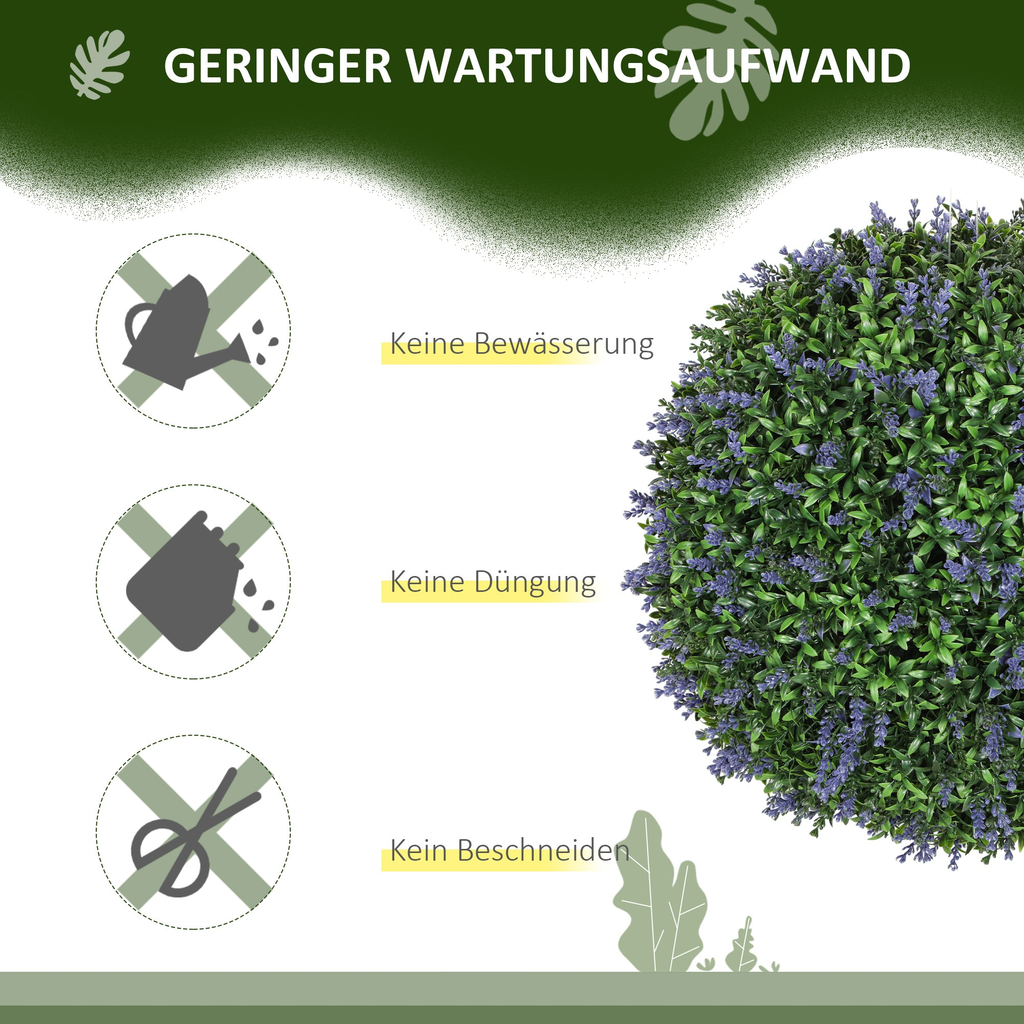Ein Text und Bild, das darauf hinweist, dass die Pflanze kein Gießen, Düngen oder Beschneiden benötigt.