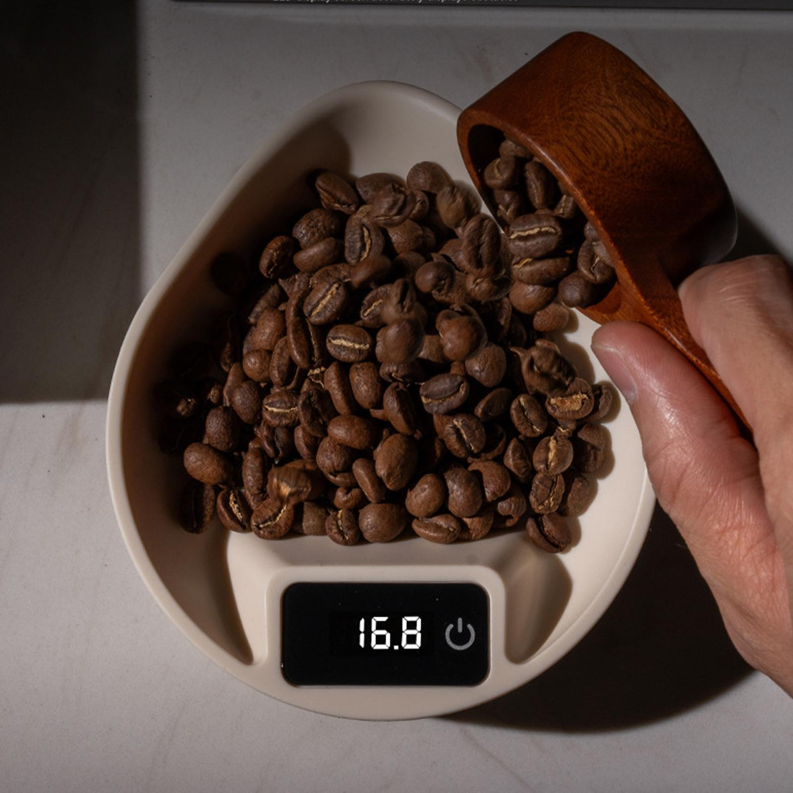 Kaffeebohnen liegen in einer schwarzen Waage. Ein hölzerner Messlöffel liegt mit den Bohnen auf der Waage.