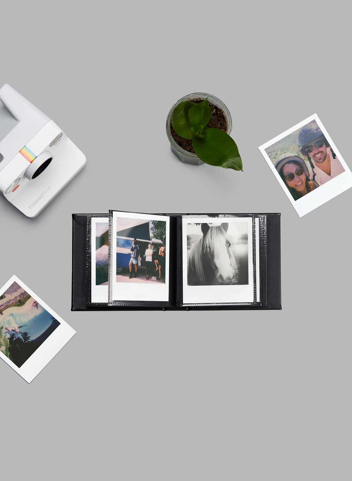 Polaroid-Kamera, Fotoalbum mit Fotos, Pflanze und lose Fotos, alles auf einer grauen Oberfläche.