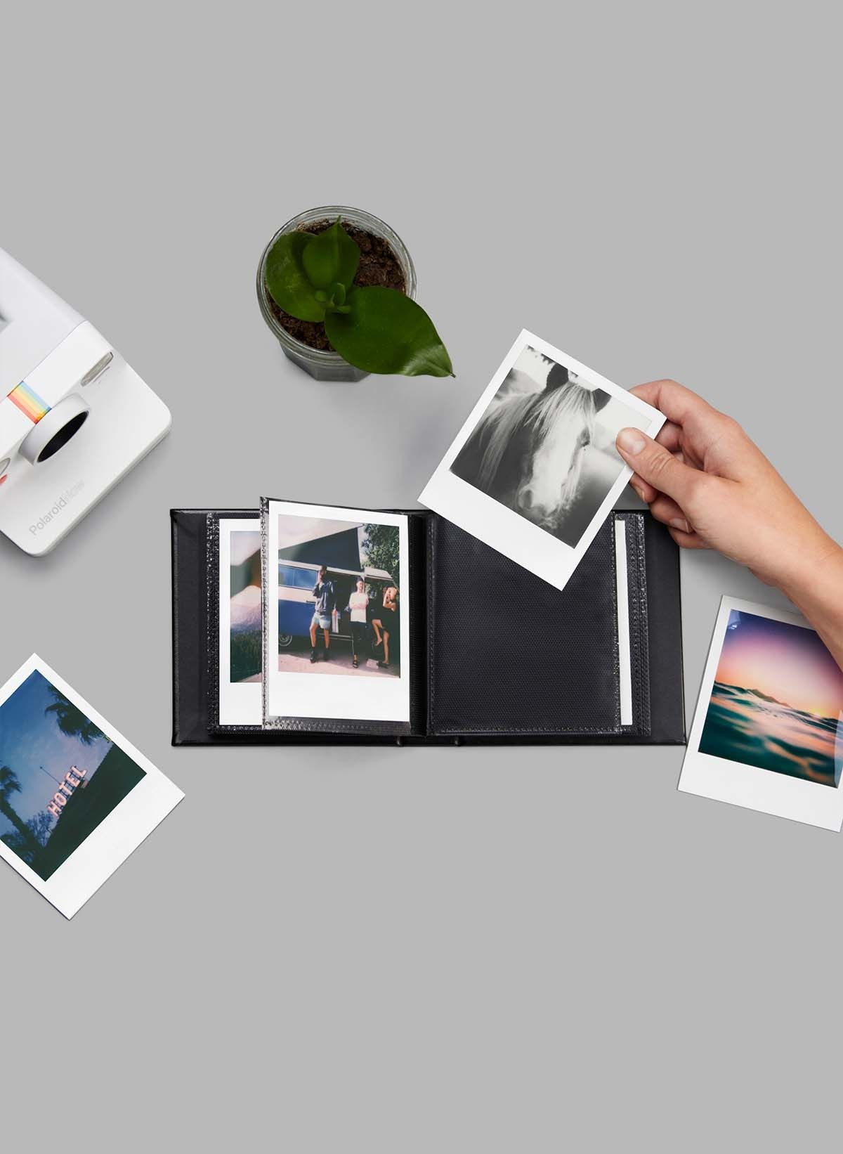 Eine Person hält ein Foto über einem offenen Fotoalbum mit anderen Fotos und einer Polaroid-Kamera.