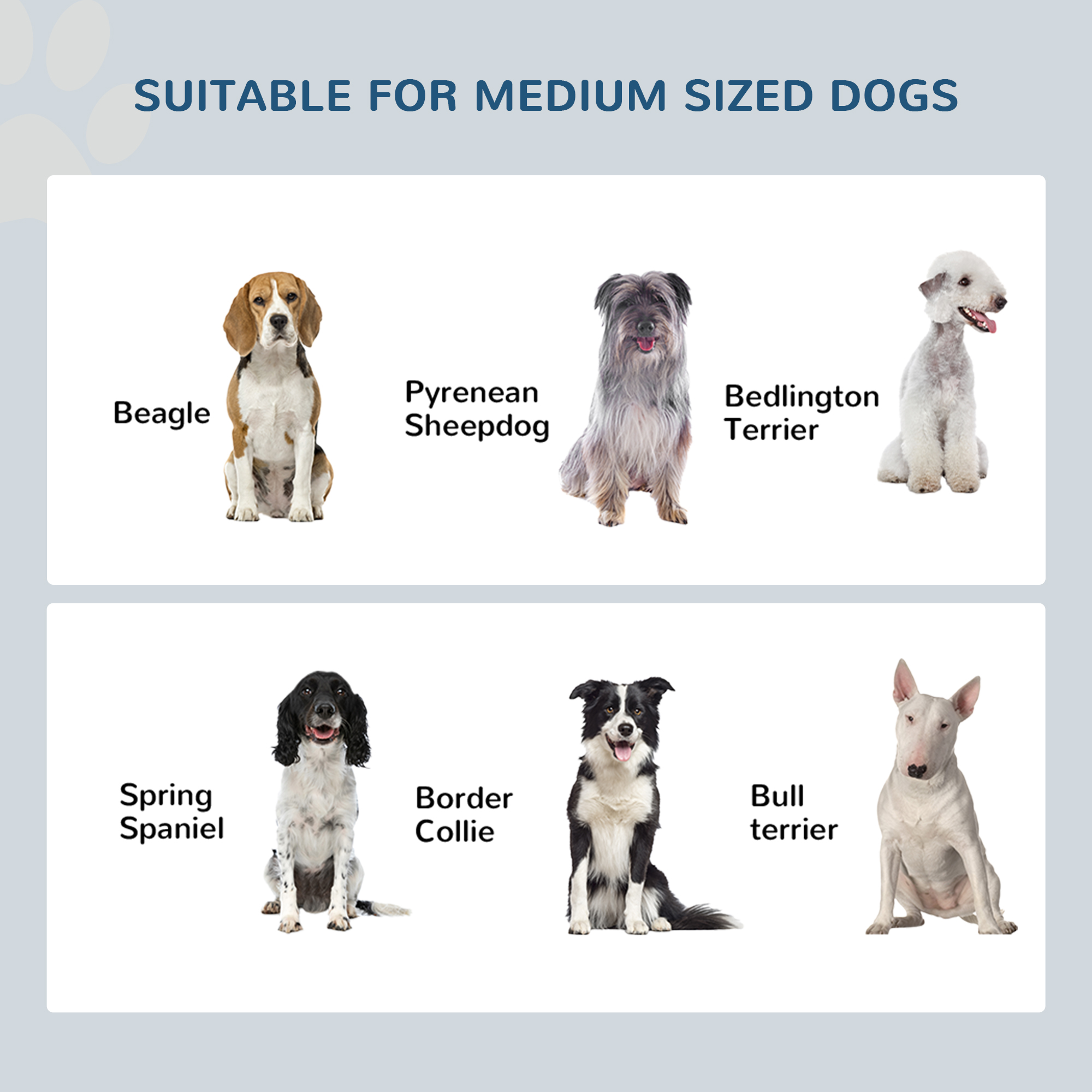 Ein Bild verschiedener Hunderassen: Beagle, Pyrenäenberghund, Bedlington Terrier, Spring Spaniel, Border Collie, Bullterrier.
