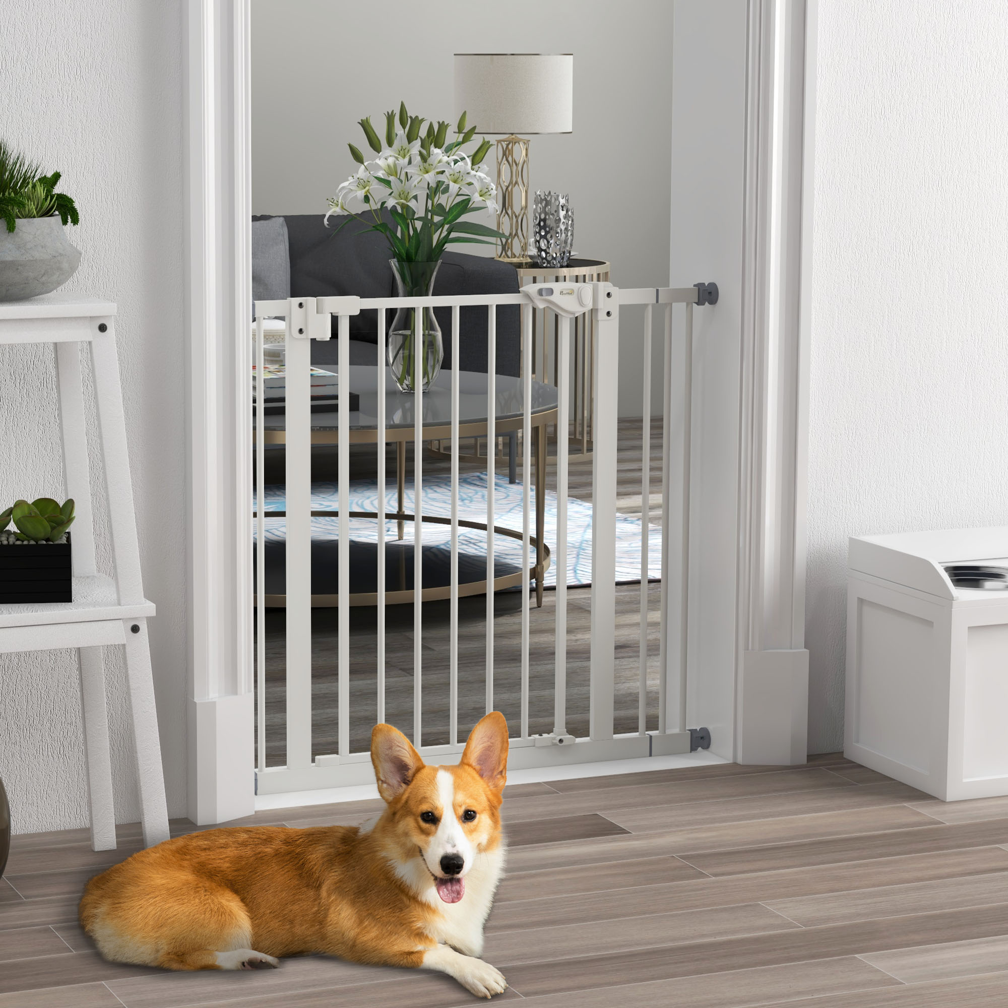 Ein weißes Babygitter in einem Türrahmen. Ein Corgi liegt davor auf dem Boden.
