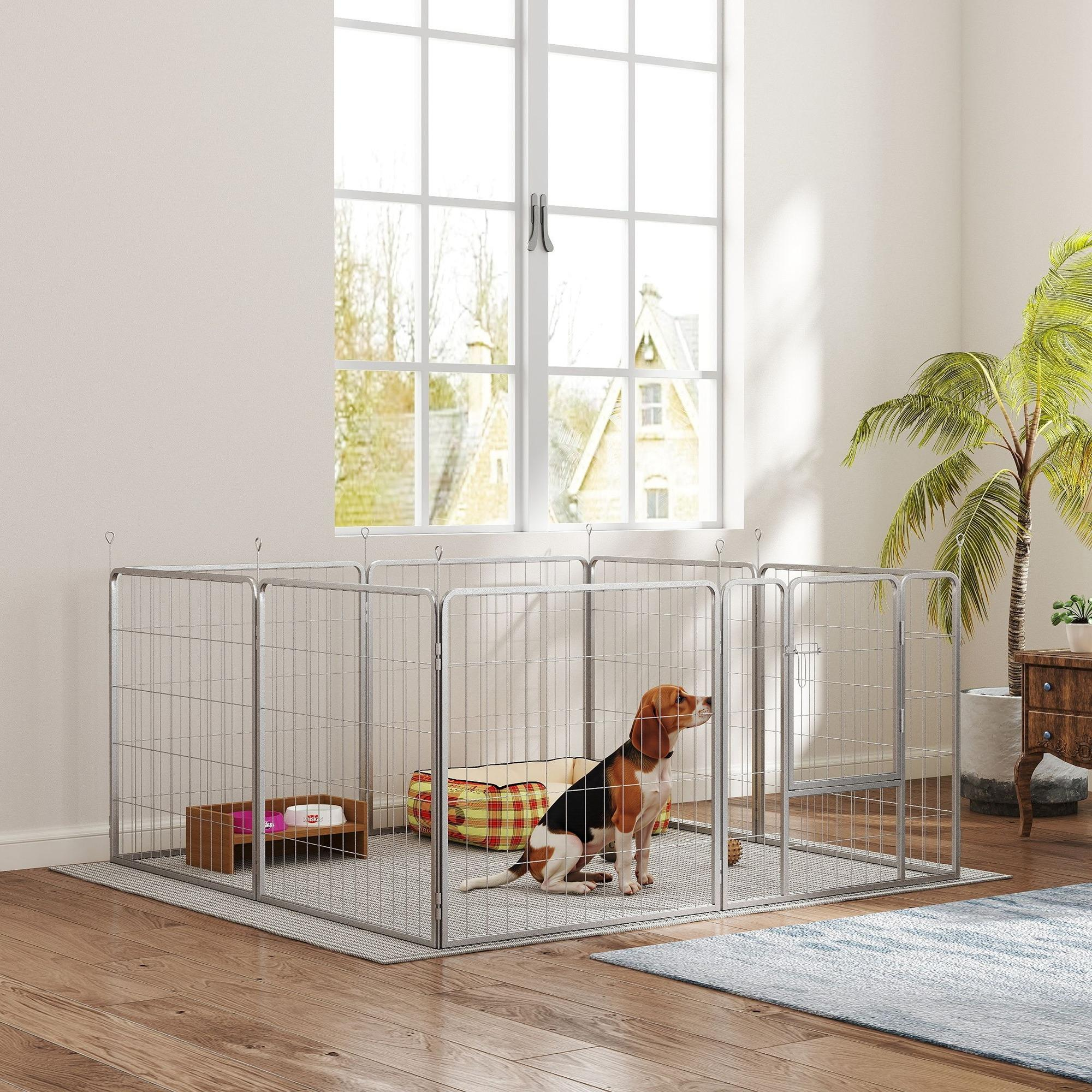 Ein Hund in einem Gehege in Fensternähe, mit Teppich, Bett und Futternapf.