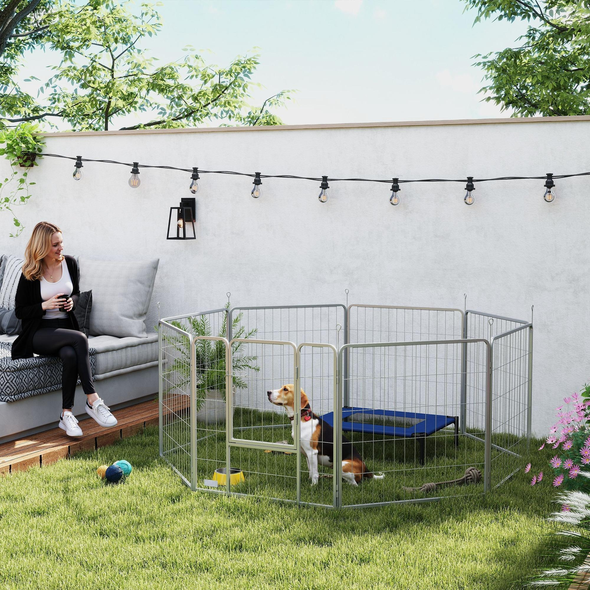 Eine Frau sitzt in der Nähe eines Hundeauslaufs mit einem Hund darin, einer Bank und einer Lichterkette.
