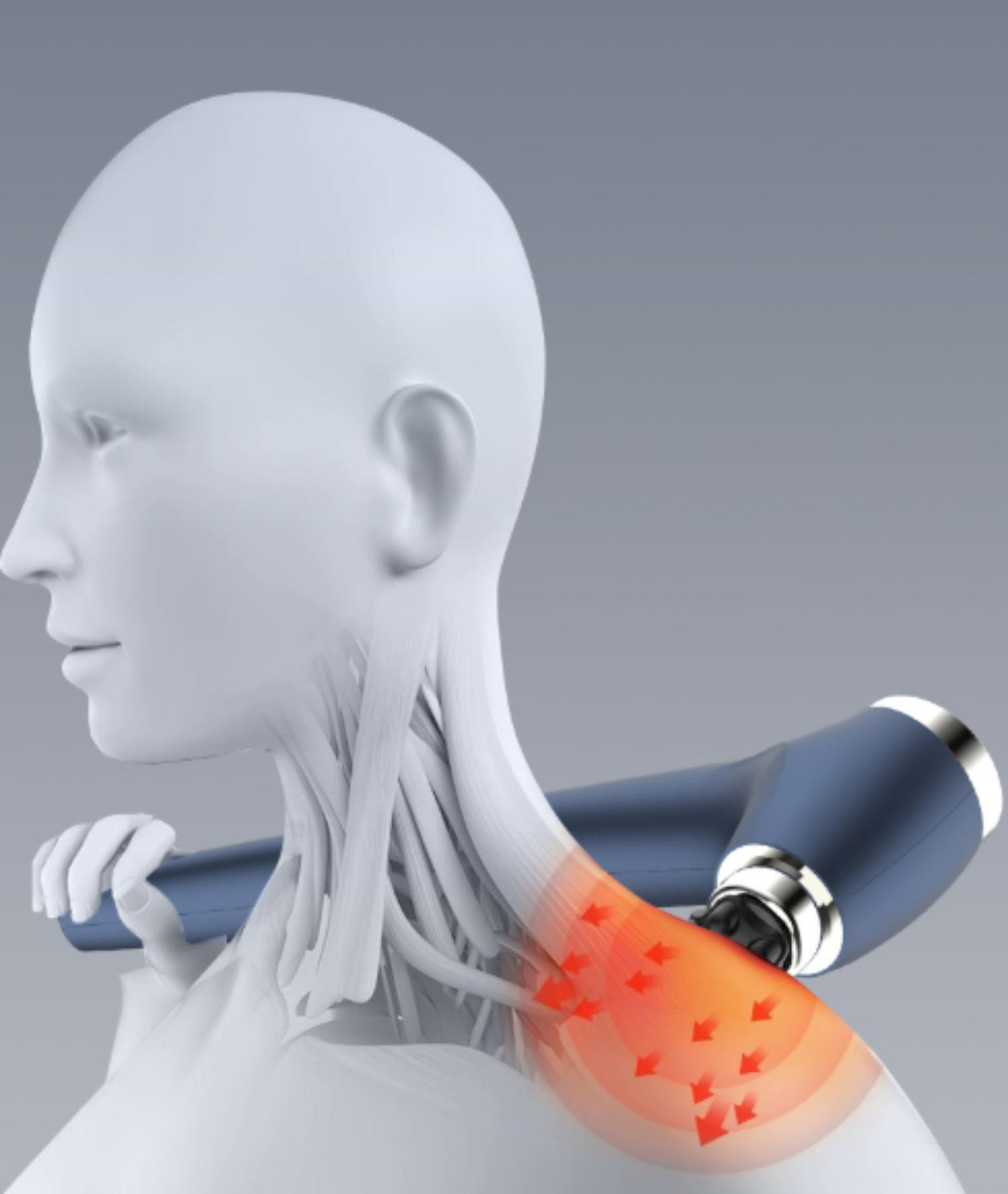 Anatomische Darstellung zeigt eine Person, deren Schulter und Nacken mit einem blauen Massagegerät massiert werden.