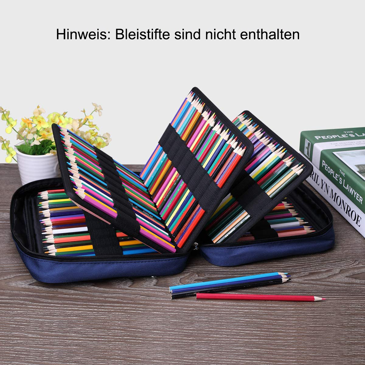 Ein Federmäppchen mit Farbstiften, neben einer Pflanze und Büchern. Text: 'Bleistifte sind nicht enthalten'.