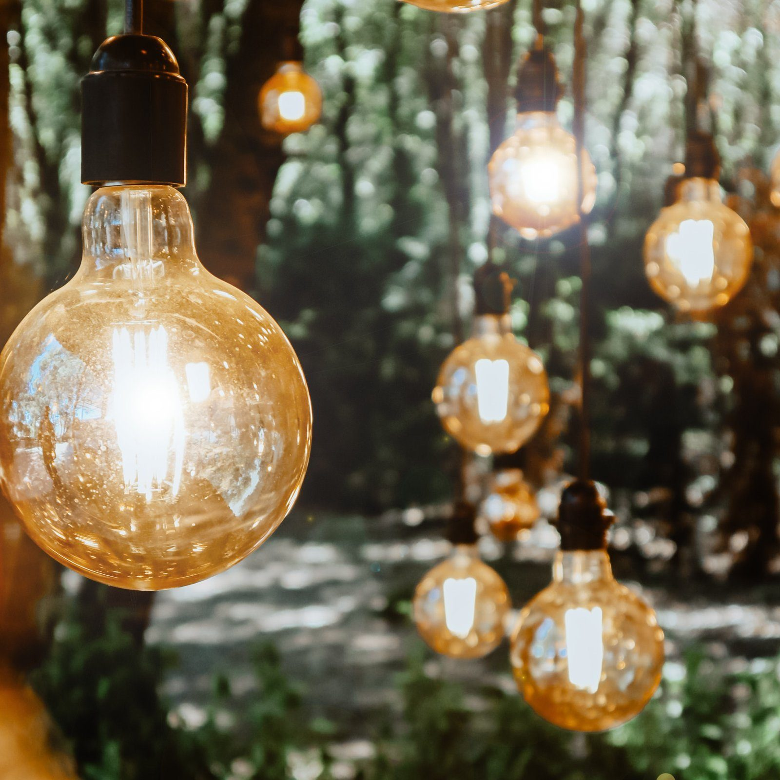 Kilka pomarańczowych żarówek zwisających na sznurkach, w pokoju z rozmytym zielonym tłem.