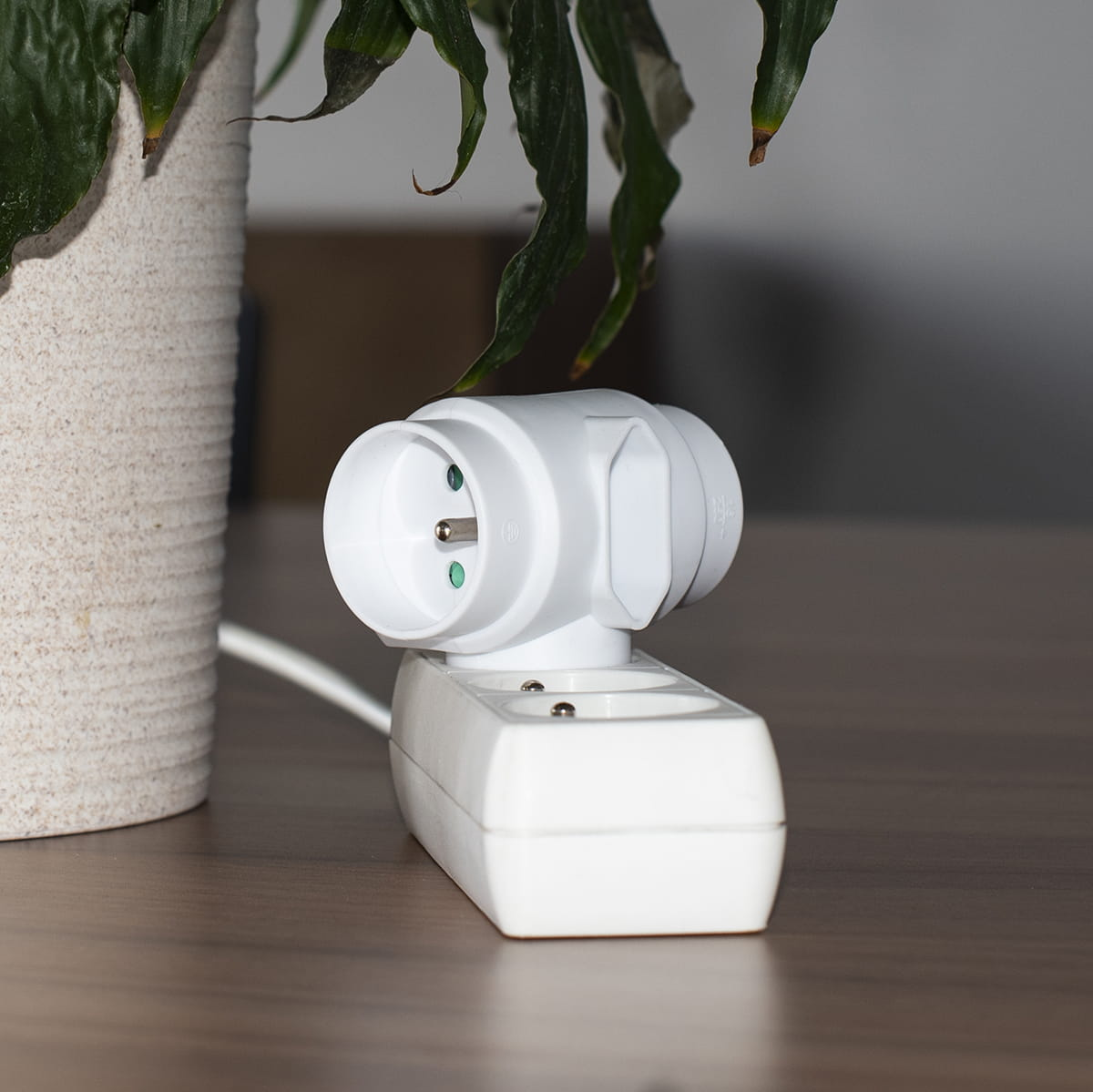 Biały potrójny adapter zasilania w gniazdku, z rośliną w tle.