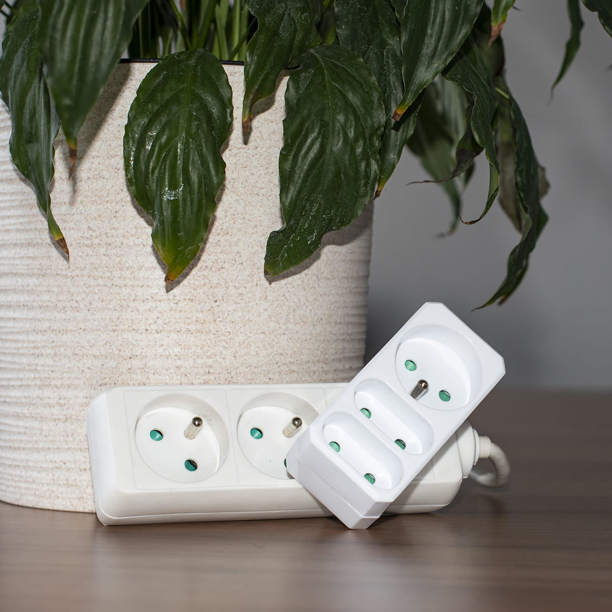 Dwie białe listwy zasilające z trzema gniazdami każda, obok rośliny w doniczce. Jedna jest pod kątem.