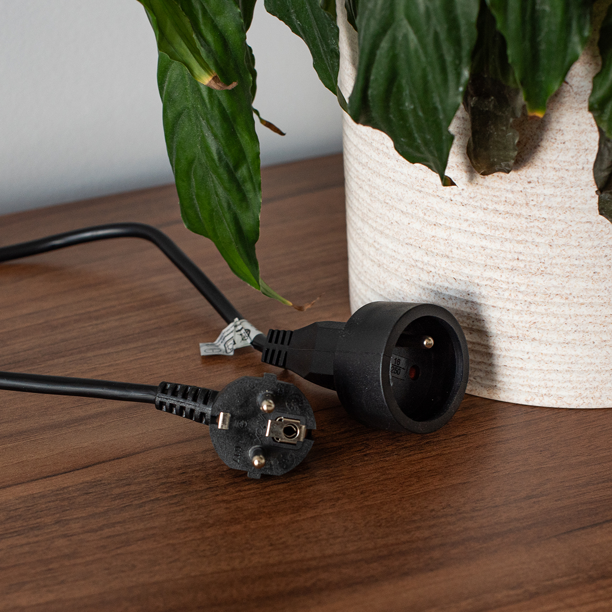Czarny przedłużacz z wtyczką i gniazdem na drewnianym stole, w pobliżu rośliny.