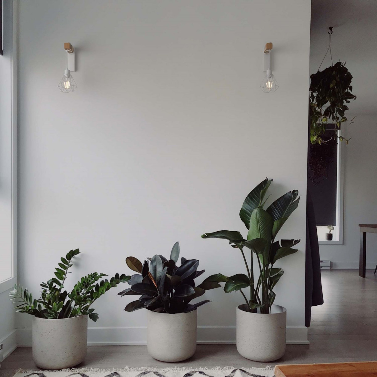 Dos lámparas modernas y tres plantas en macetas. Paredes blancas, colores neutros y estética natural.